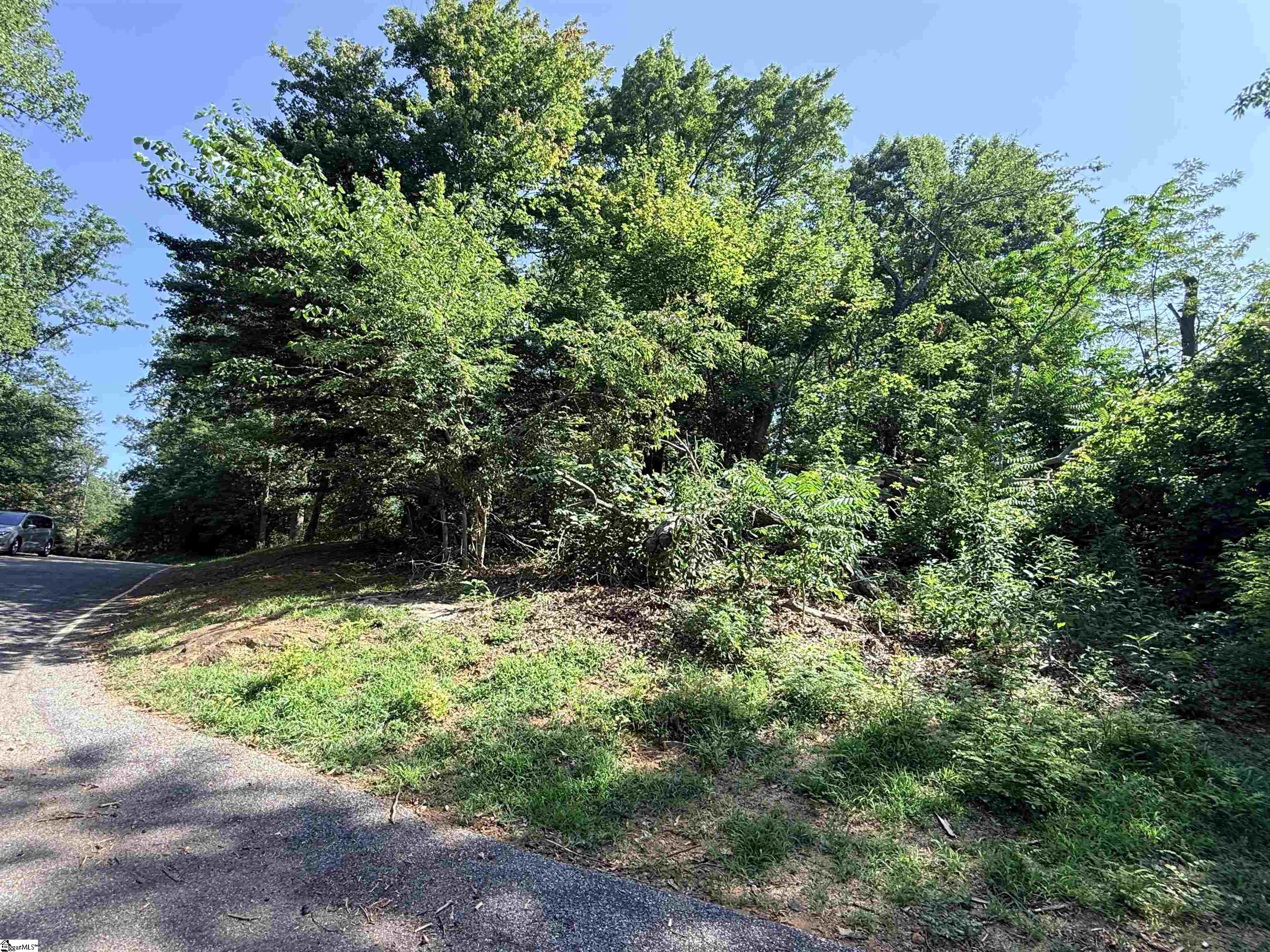 147 Raptor Way Landrum, SC 29635