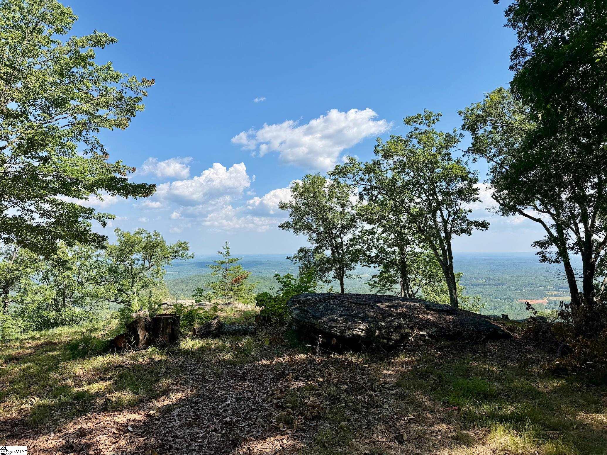 Southview Ledge Road UNIT LOT 62 Landrum, SC 29356