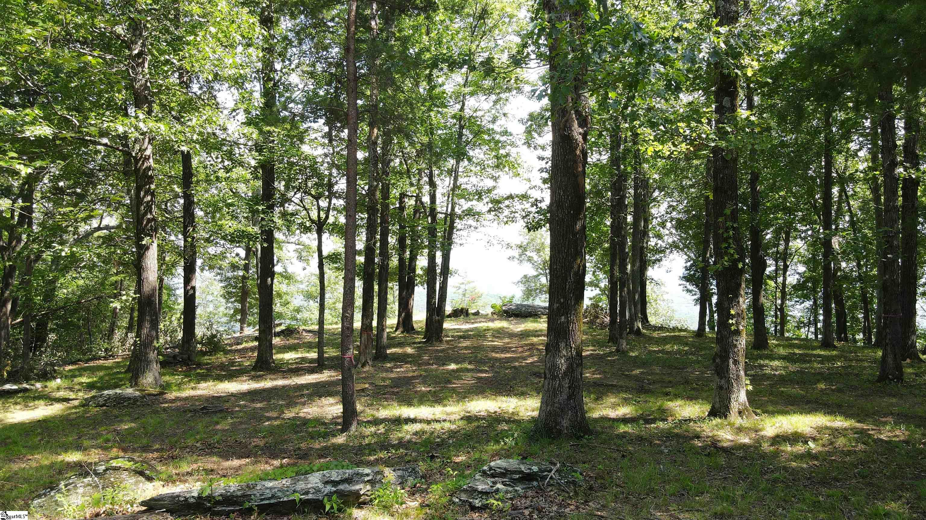 Southview Ledge Road UNIT LOT 62 Landrum, SC 29356