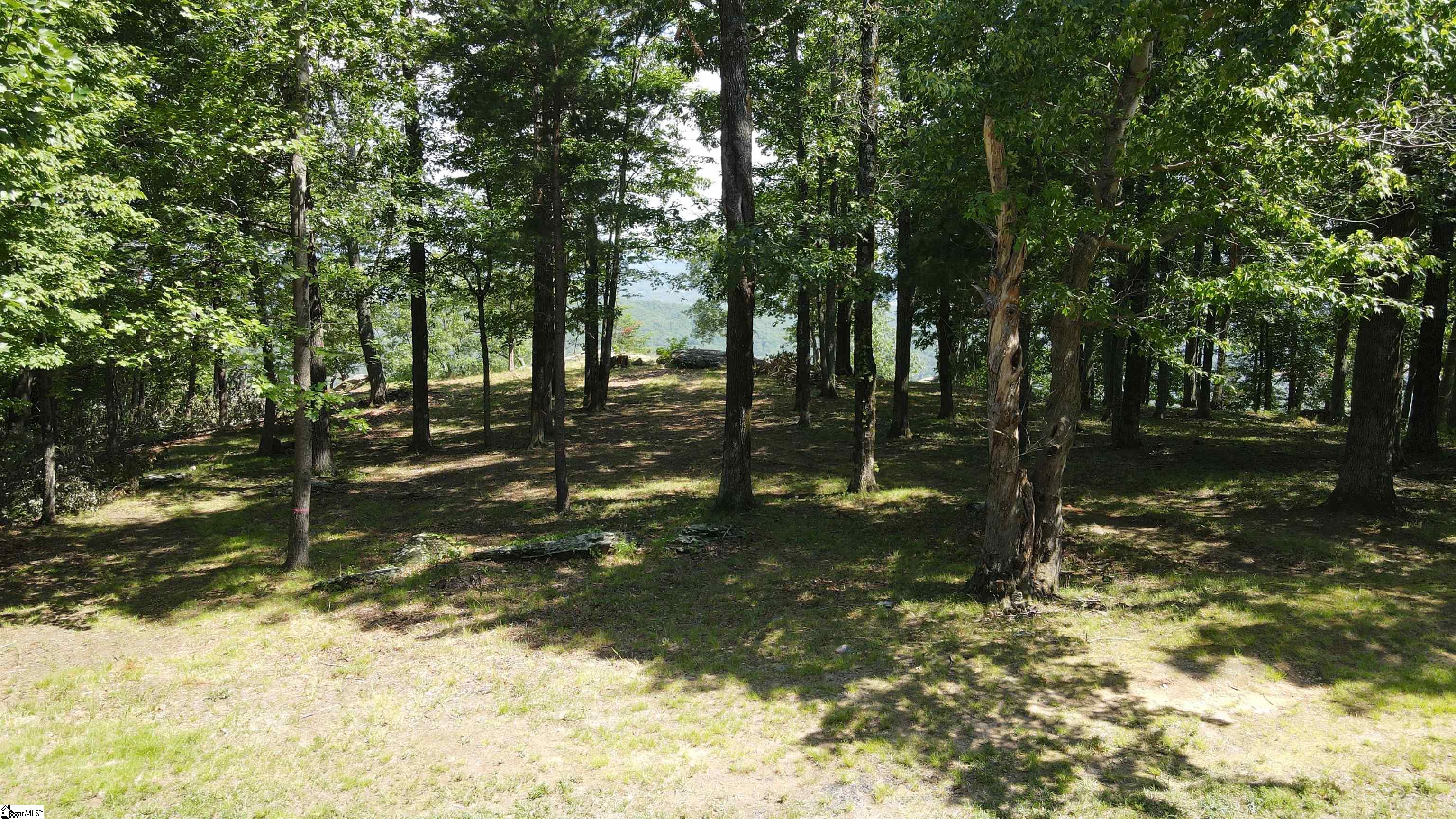 Southview Ledge Road UNIT LOT 62 Landrum, SC 29356