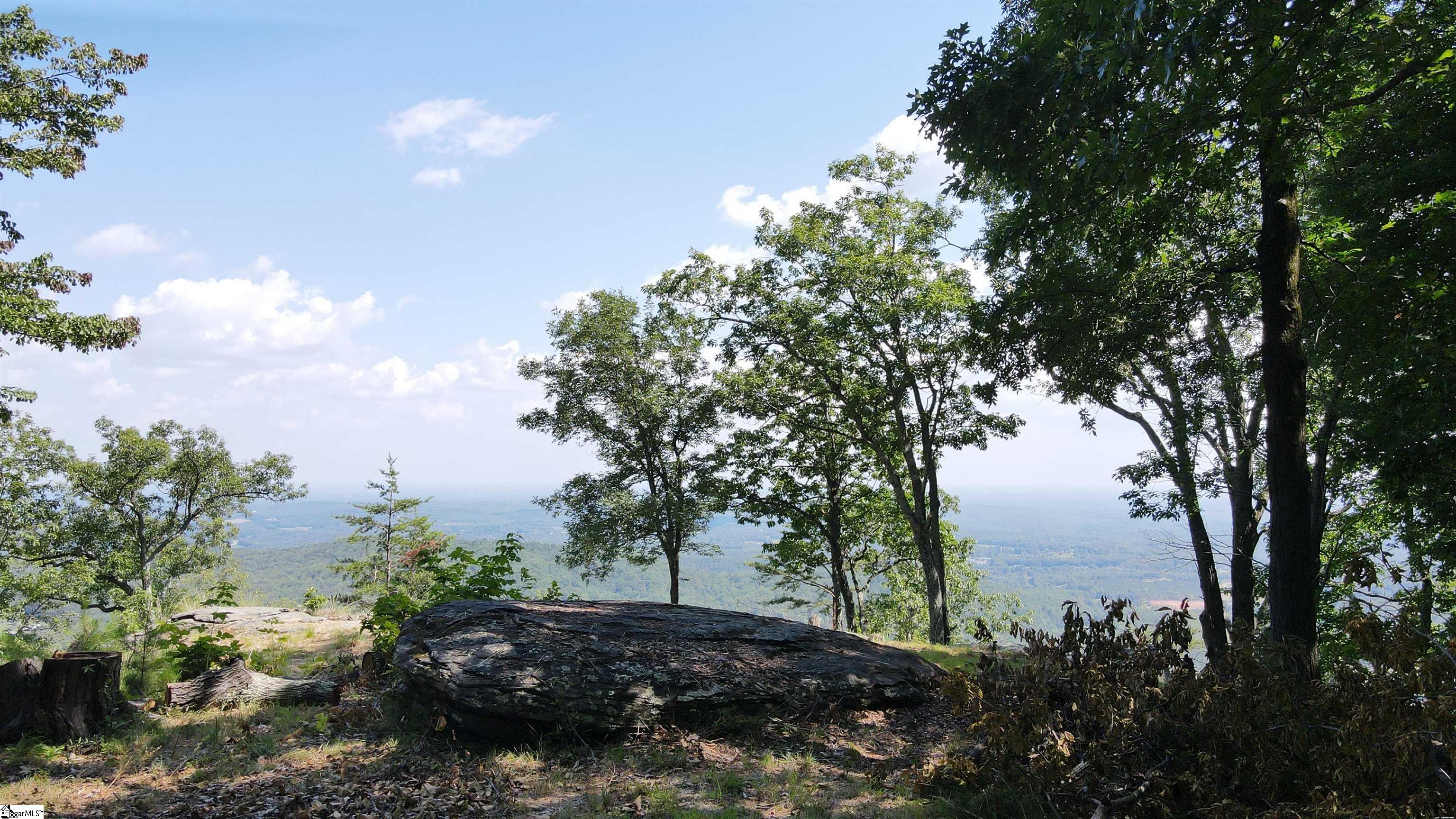 Southview Ledge Road UNIT LOT 62 Landrum, SC 29356
