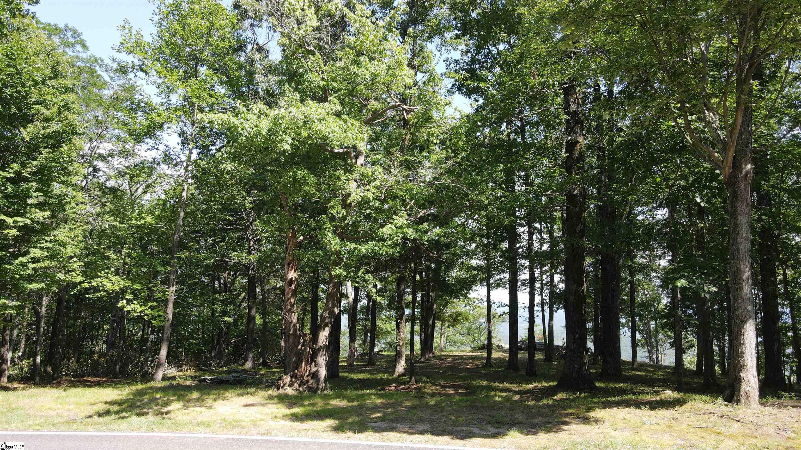 Southview Ledge Road UNIT LOT 62 Landrum, SC 29356