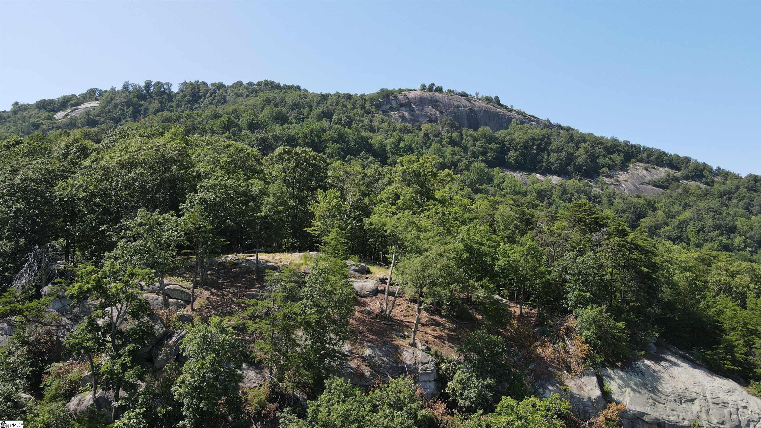 Southview Ledge Road UNIT LOT 62 Landrum, SC 29356
