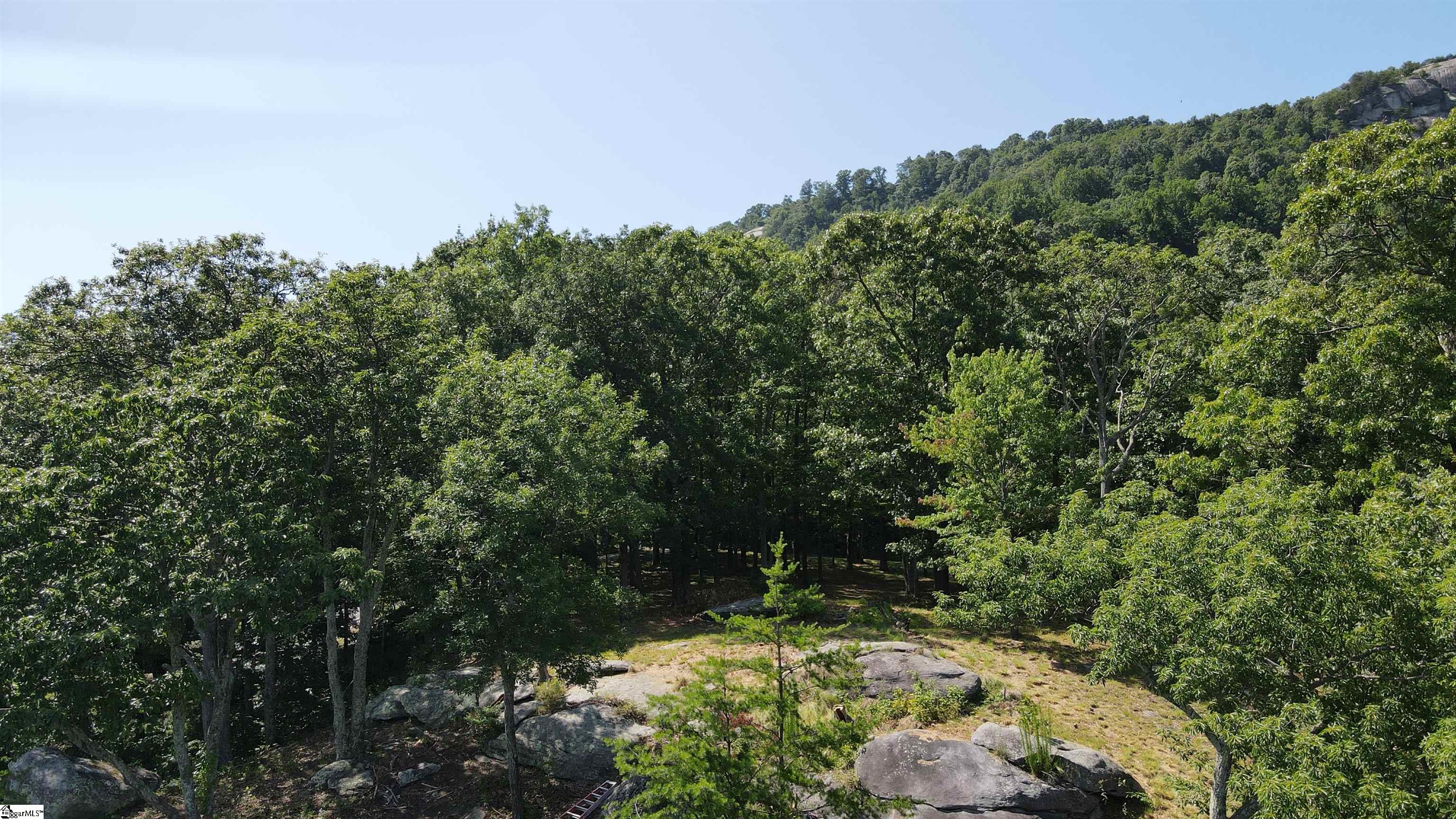 Southview Ledge Road UNIT LOT 62 Landrum, SC 29356