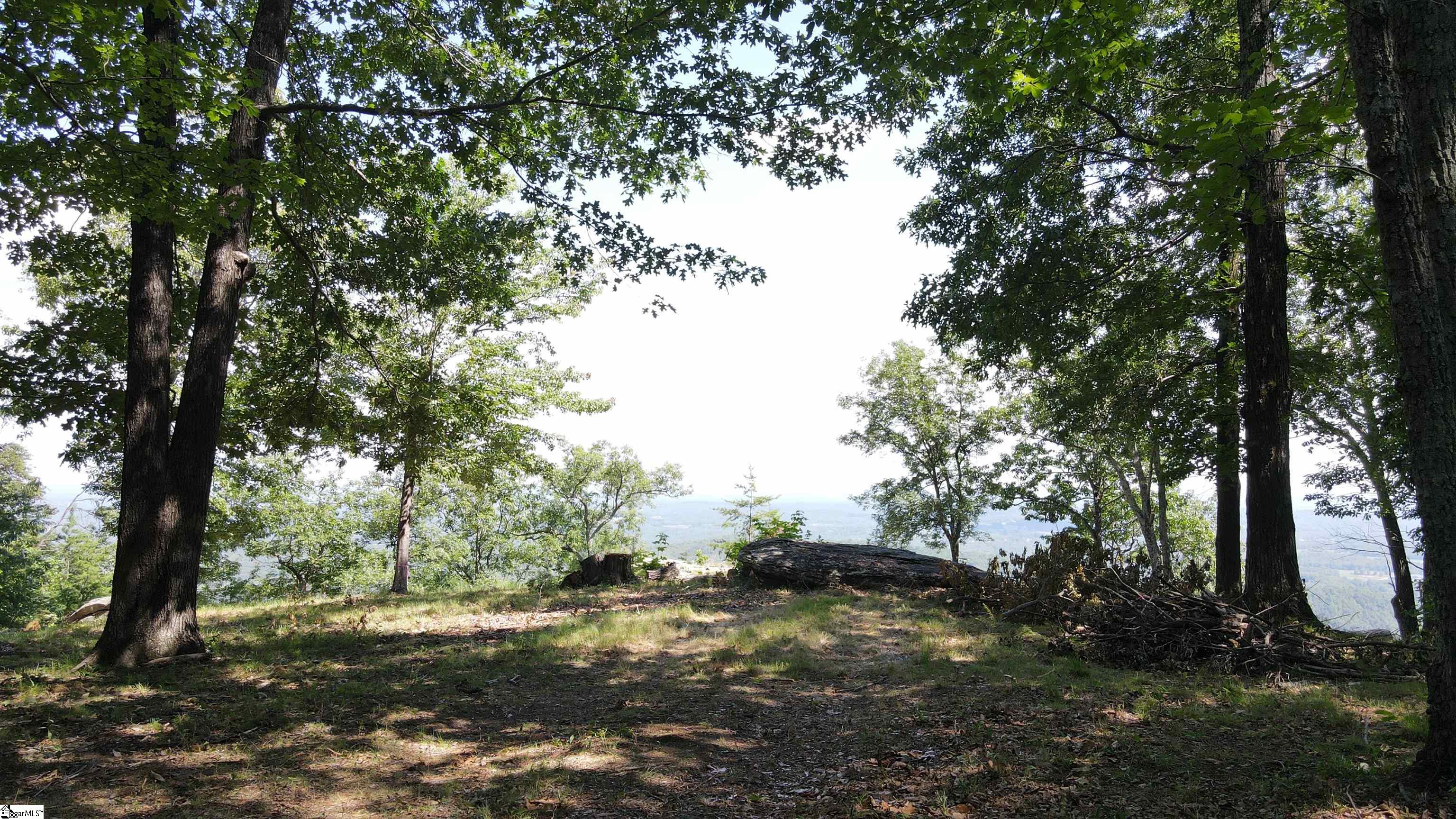 Southview Ledge Road UNIT LOT 62 Landrum, SC 29356