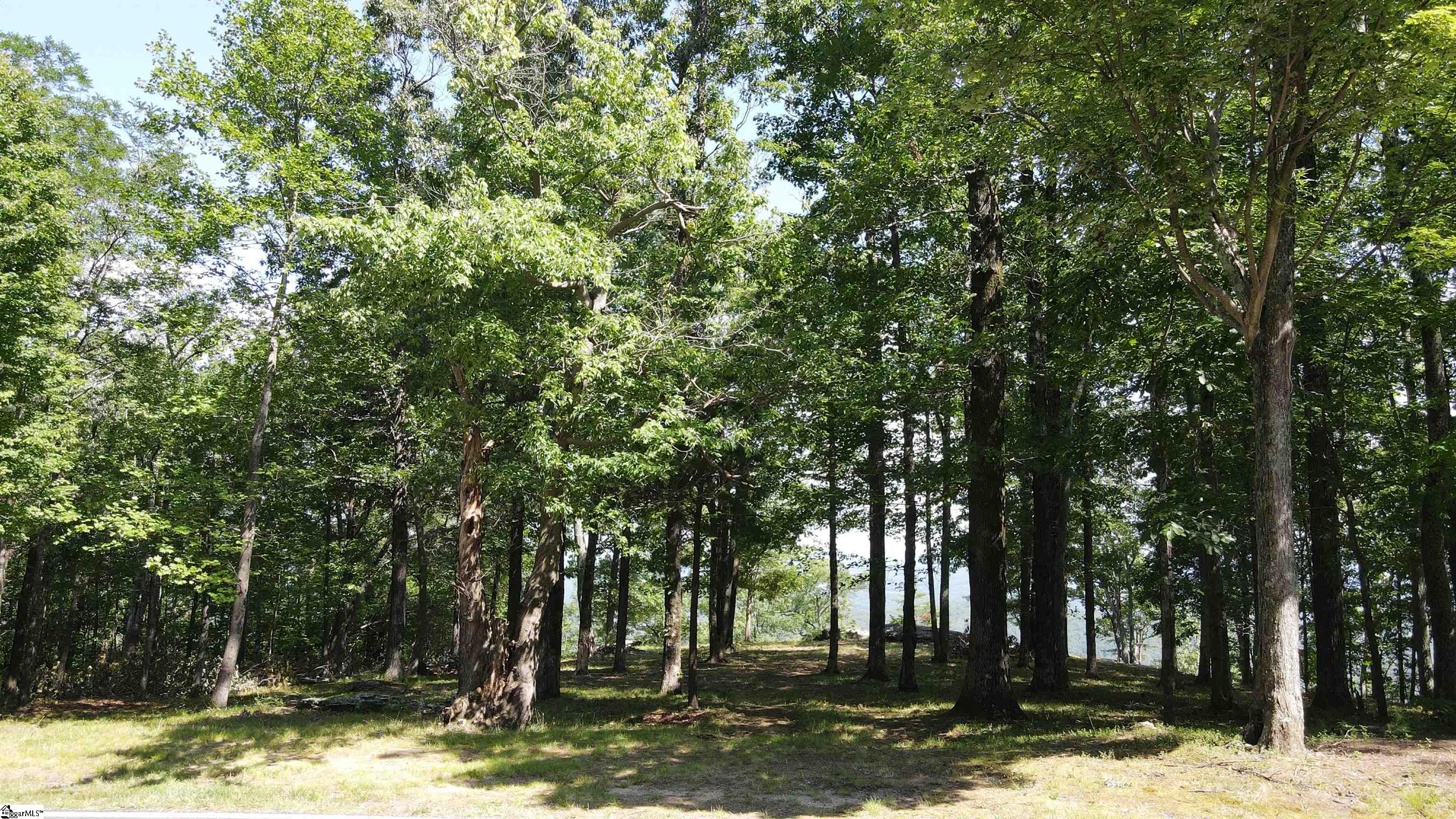 Southview Ledge Road UNIT LOT 62 Landrum, SC 29356