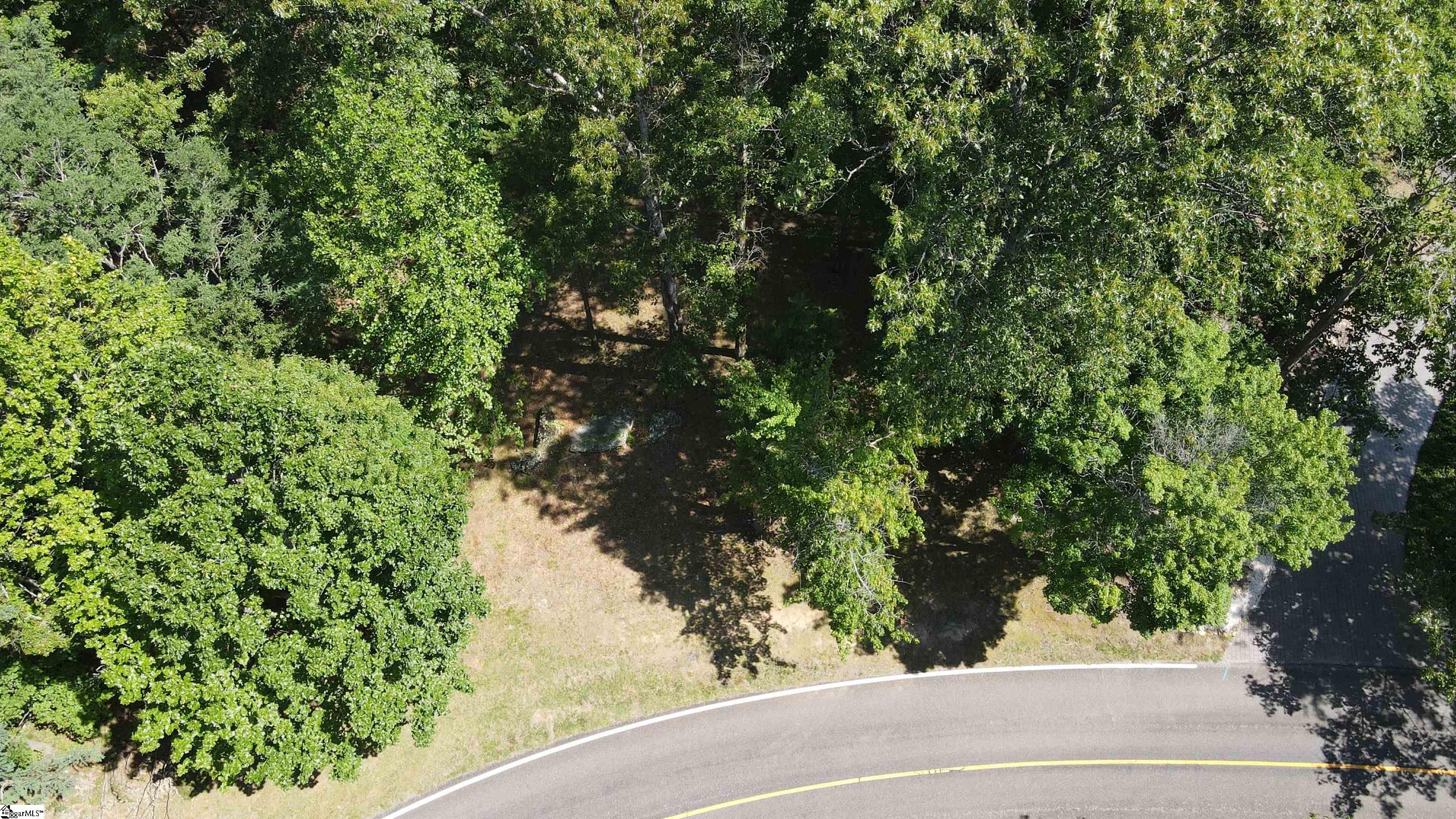 Southview Ledge Road UNIT LOT 62 Landrum, SC 29356
