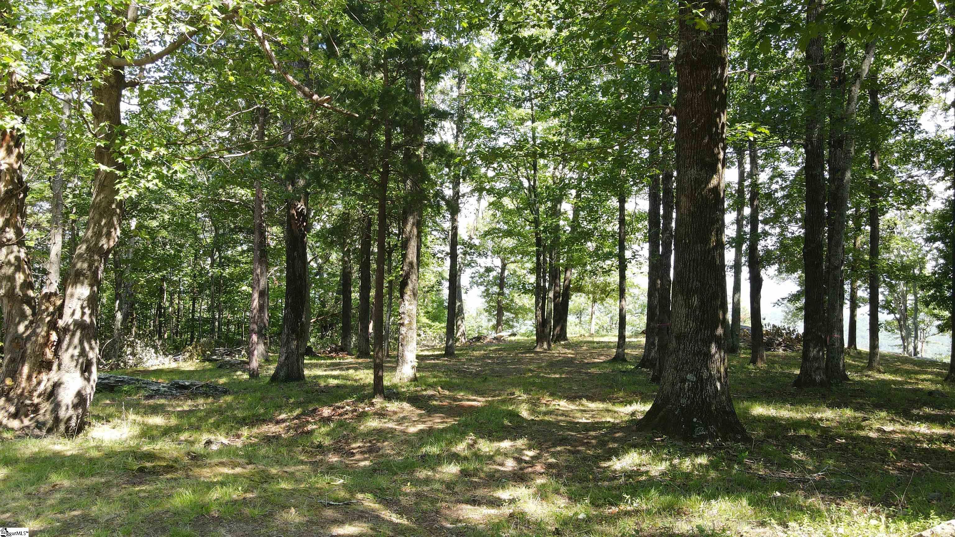 Southview Ledge Road UNIT LOT 62 Landrum, SC 29356