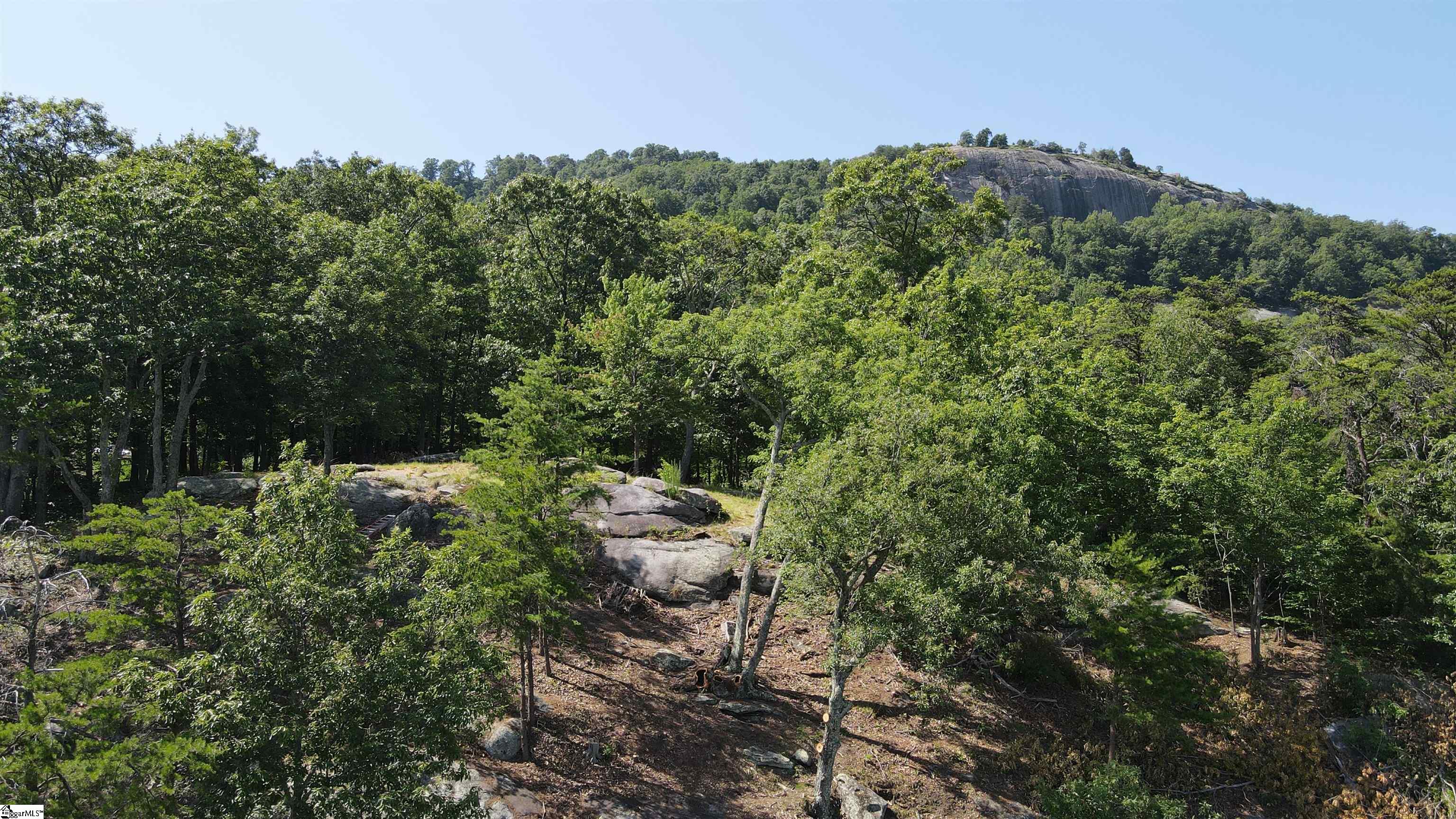 Southview Ledge Road UNIT LOT 62 Landrum, SC 29356