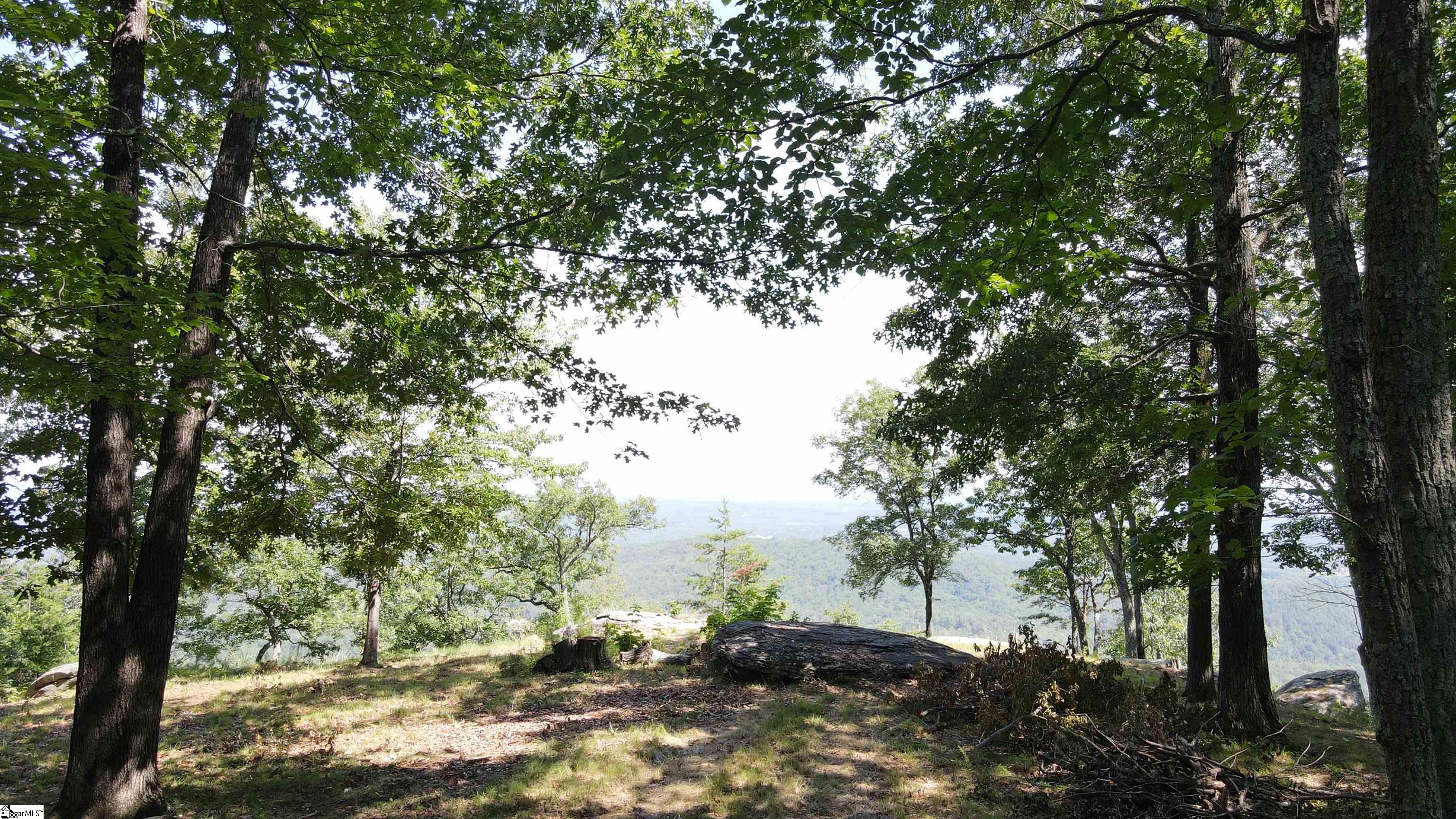Southview Ledge Road UNIT LOT 62 Landrum, SC 29356