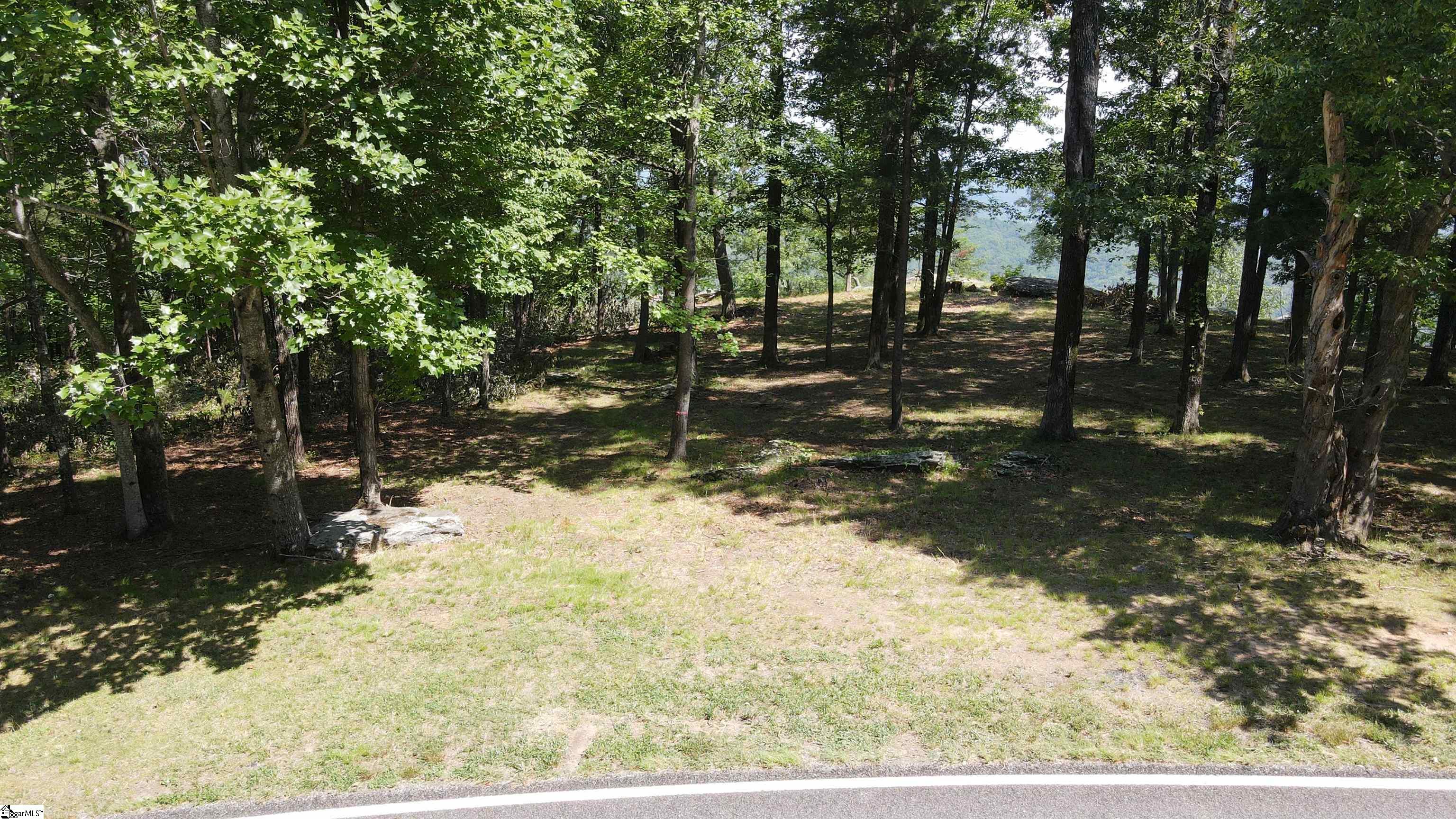Southview Ledge Road UNIT LOT 62 Landrum, SC 29356