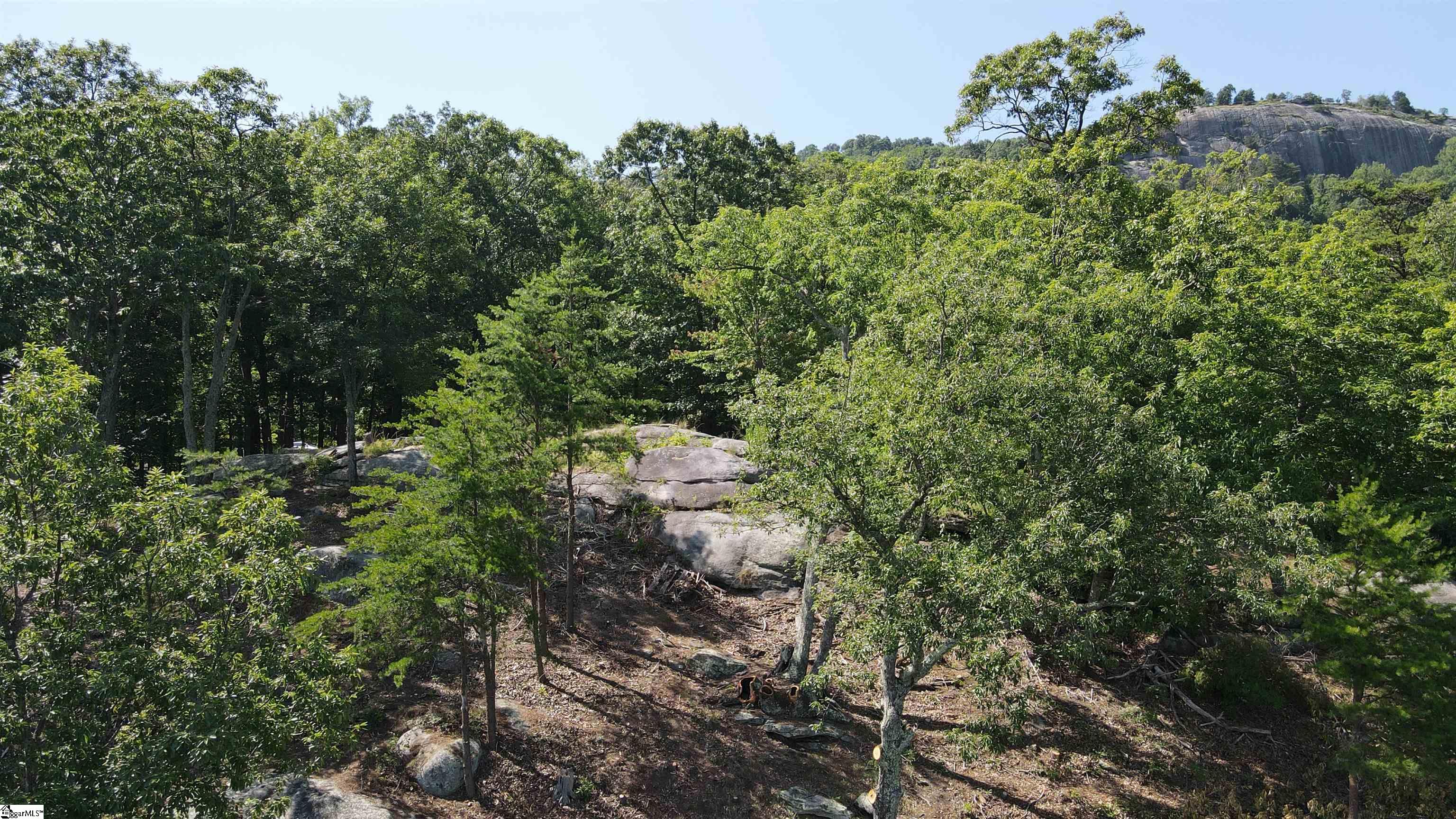 Southview Ledge Road UNIT LOT 62 Landrum, SC 29356