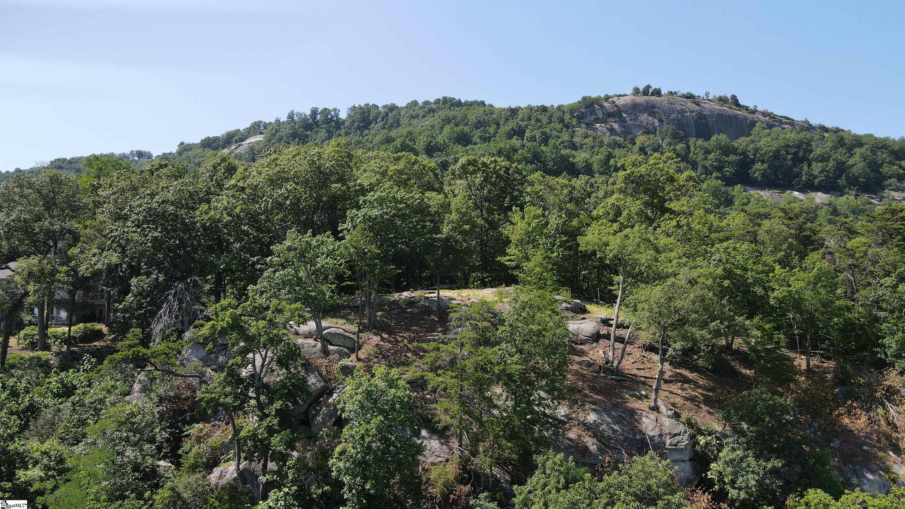 Southview Ledge Road UNIT LOT 62 Landrum, SC 29356