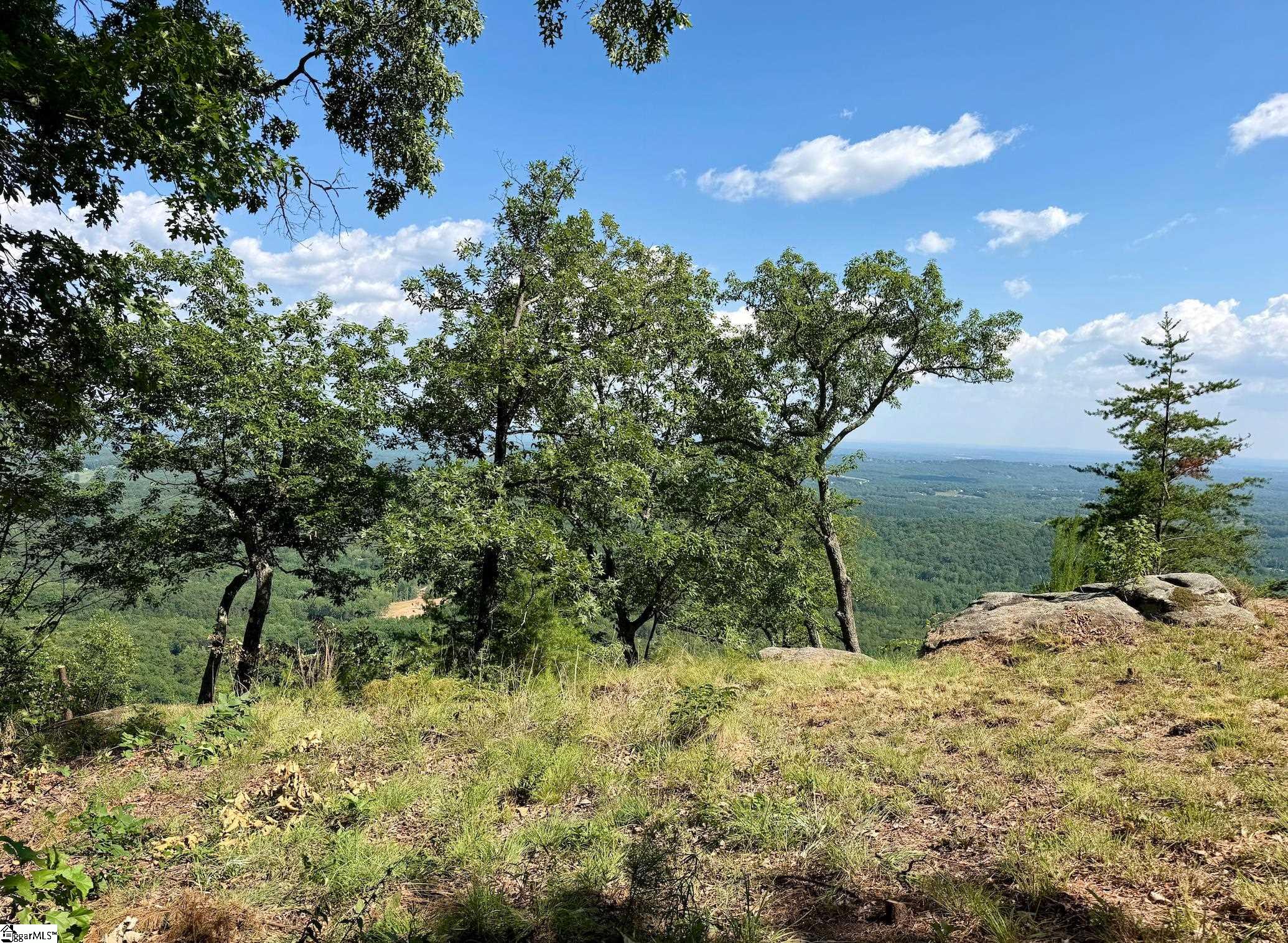 Southview Ledge Road UNIT LOT 62 Landrum, SC 29356