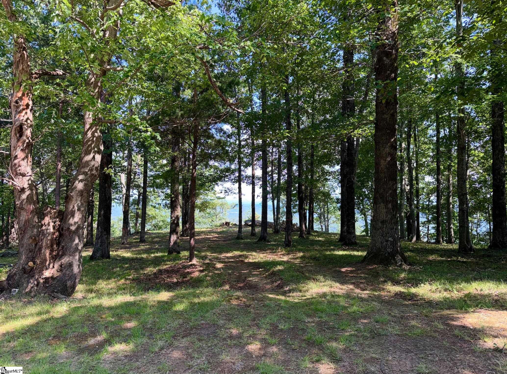 Southview Ledge Road UNIT LOT 62 Landrum, SC 29356