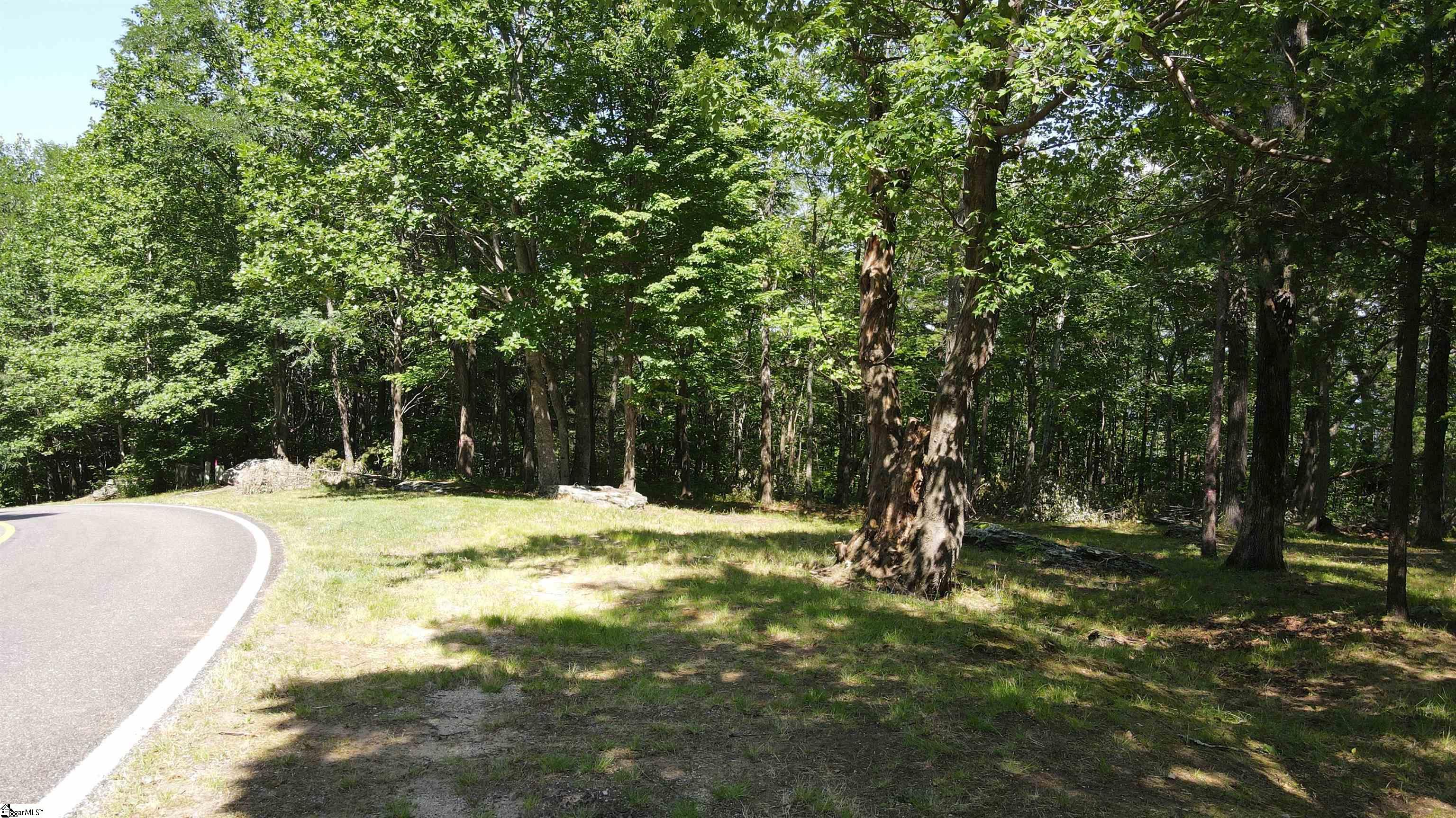 Southview Ledge Road UNIT LOT 62 Landrum, SC 29356
