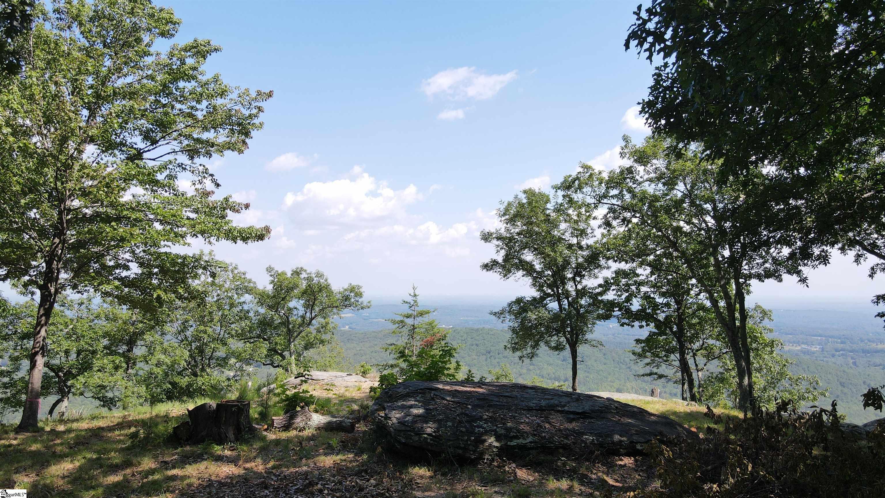 Southview Ledge Road UNIT LOT 62 Landrum, SC 29356