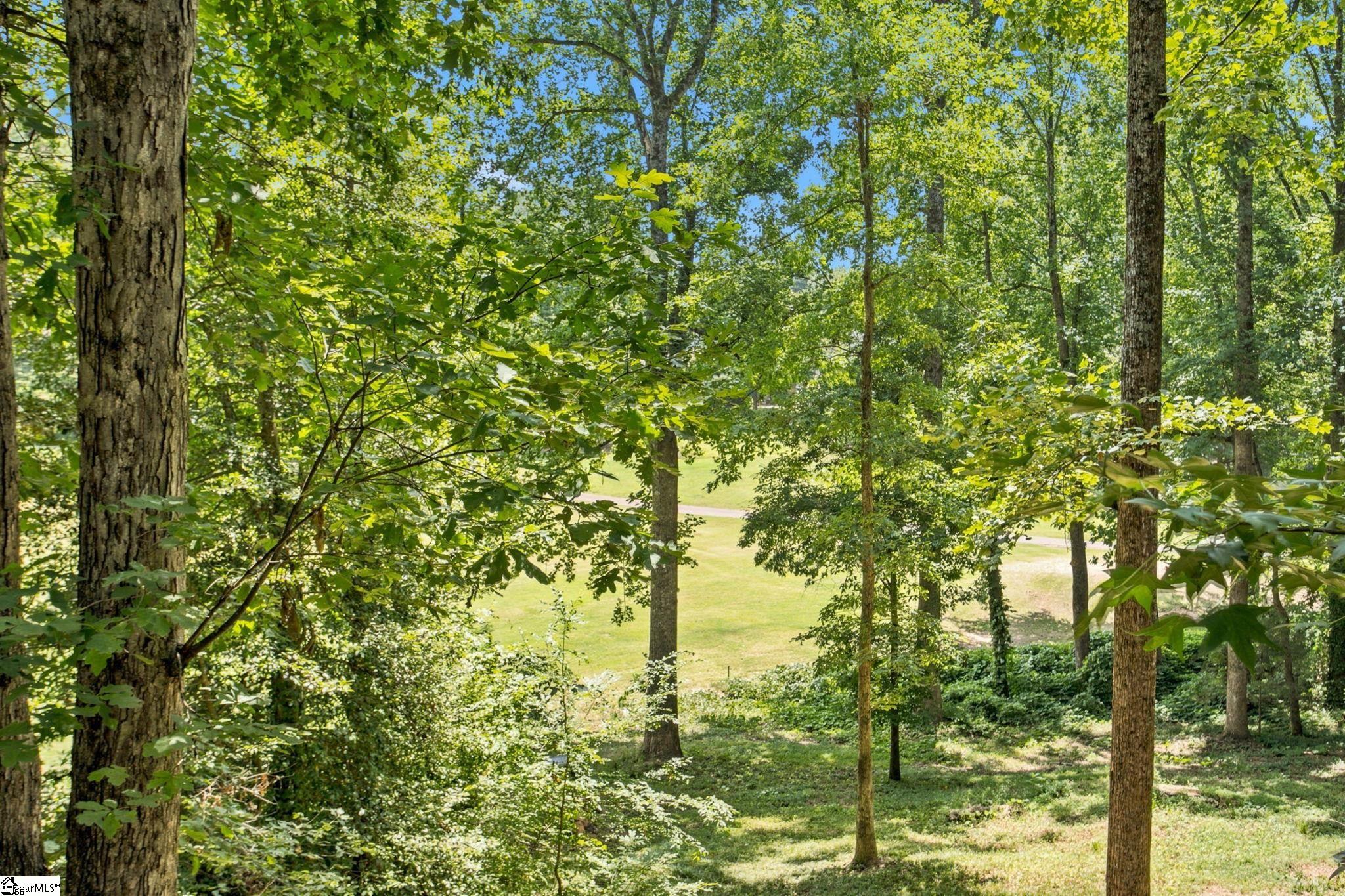 108 Whittlin Way Taylors, SC 29687