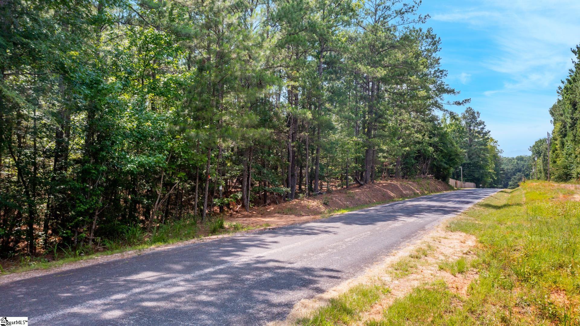Stomp Springs Road Clinton, SC 29325