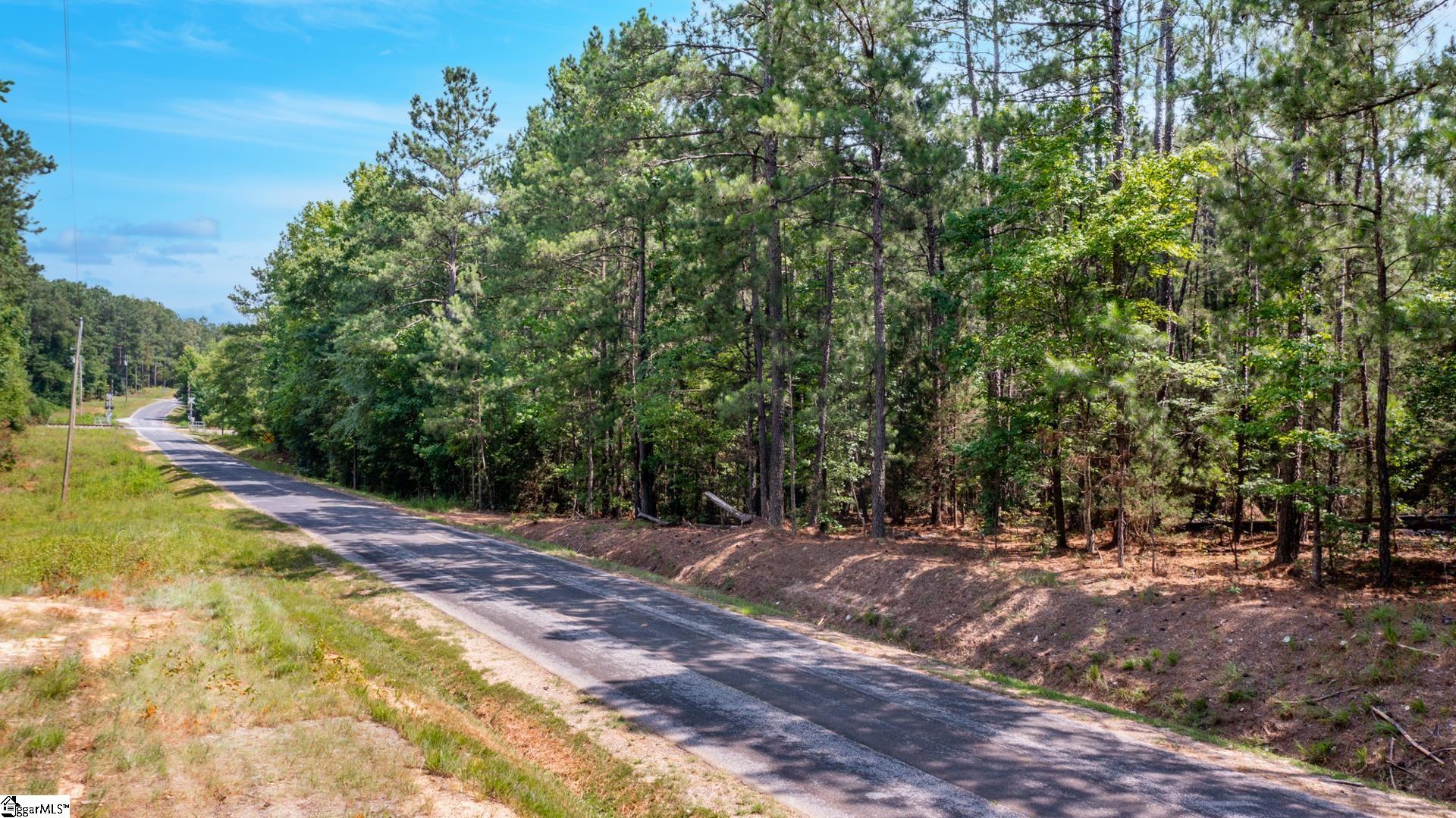 Stomp Springs Road Clinton, SC 29325