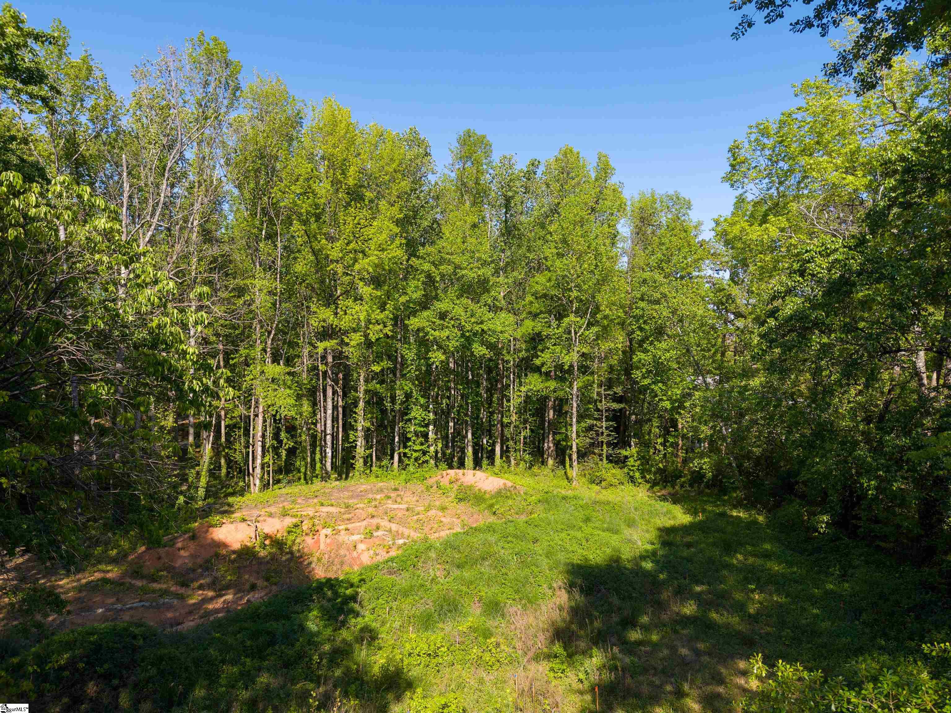 6 Stratton Place Greenville, SC 29615