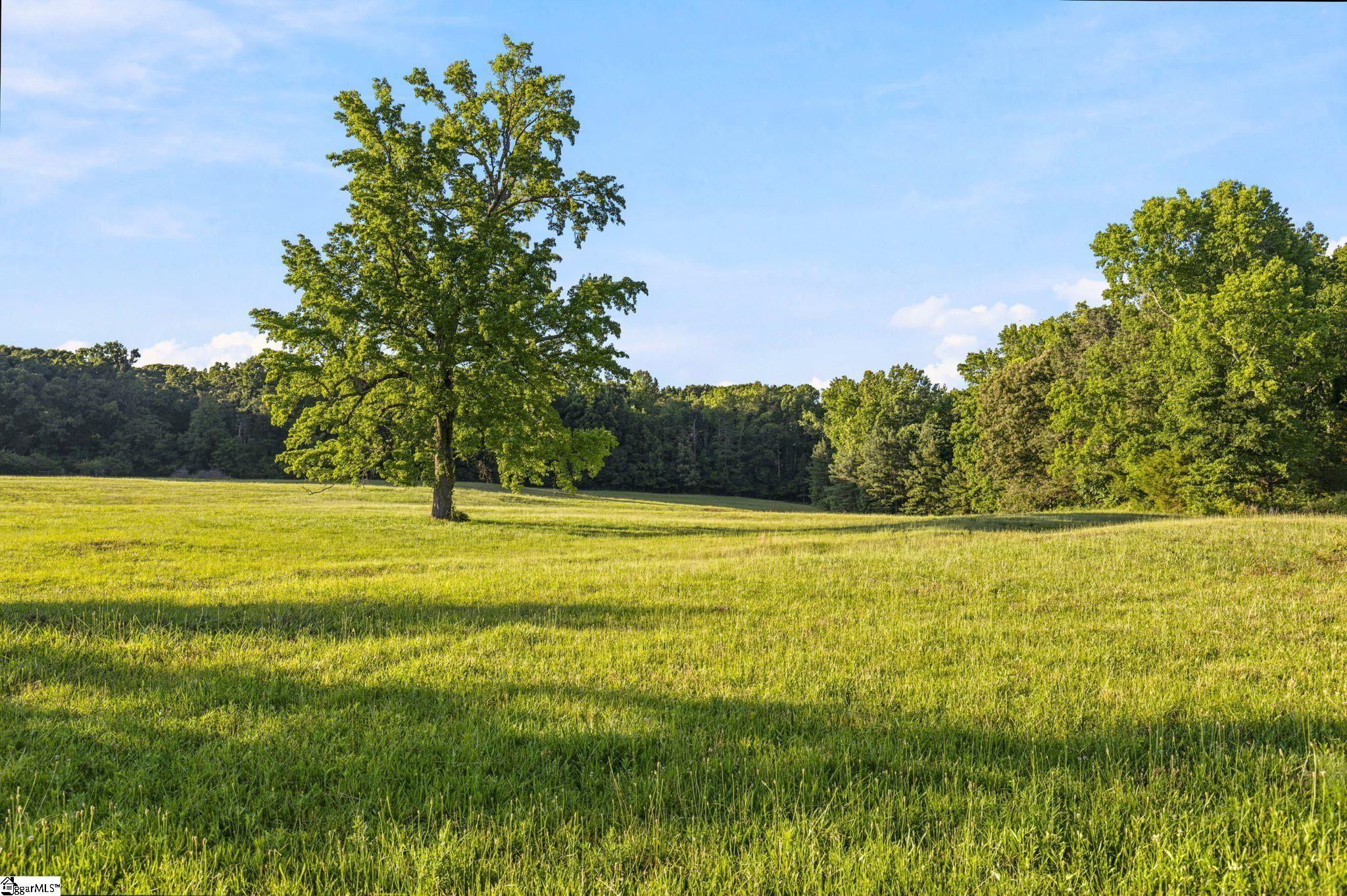 00 Indian Mound Road Ware Shoals, SC 29662