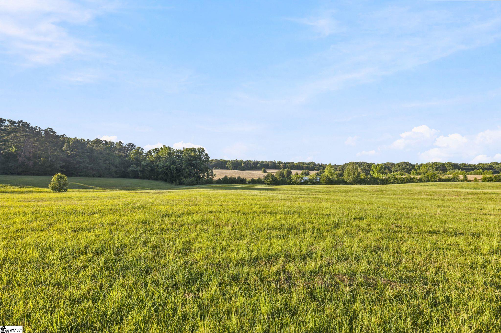 00 Indian Mound Road Ware Shoals, SC 29692