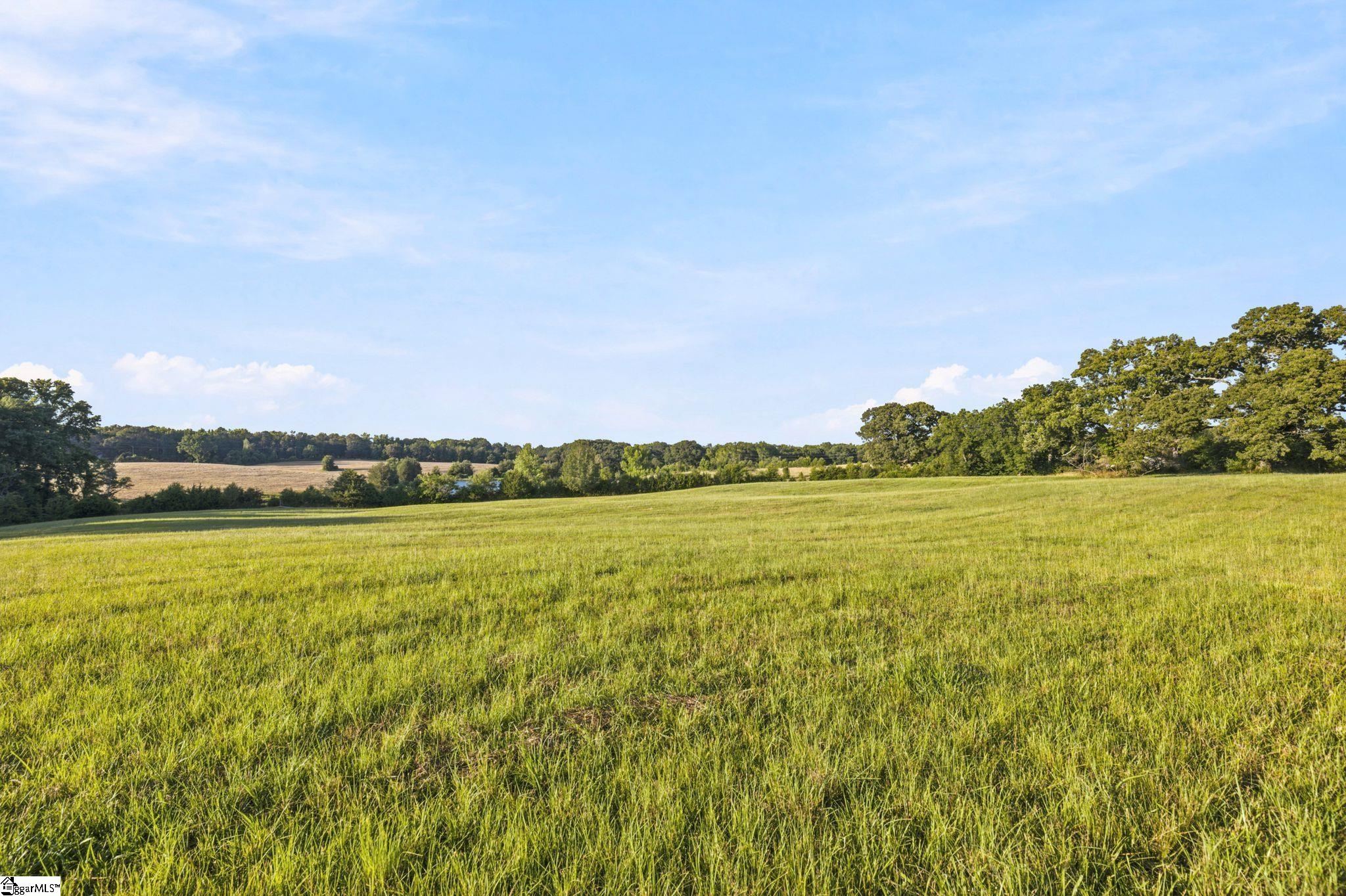 00 Indian Mound Road Ware Shoals, SC 29692