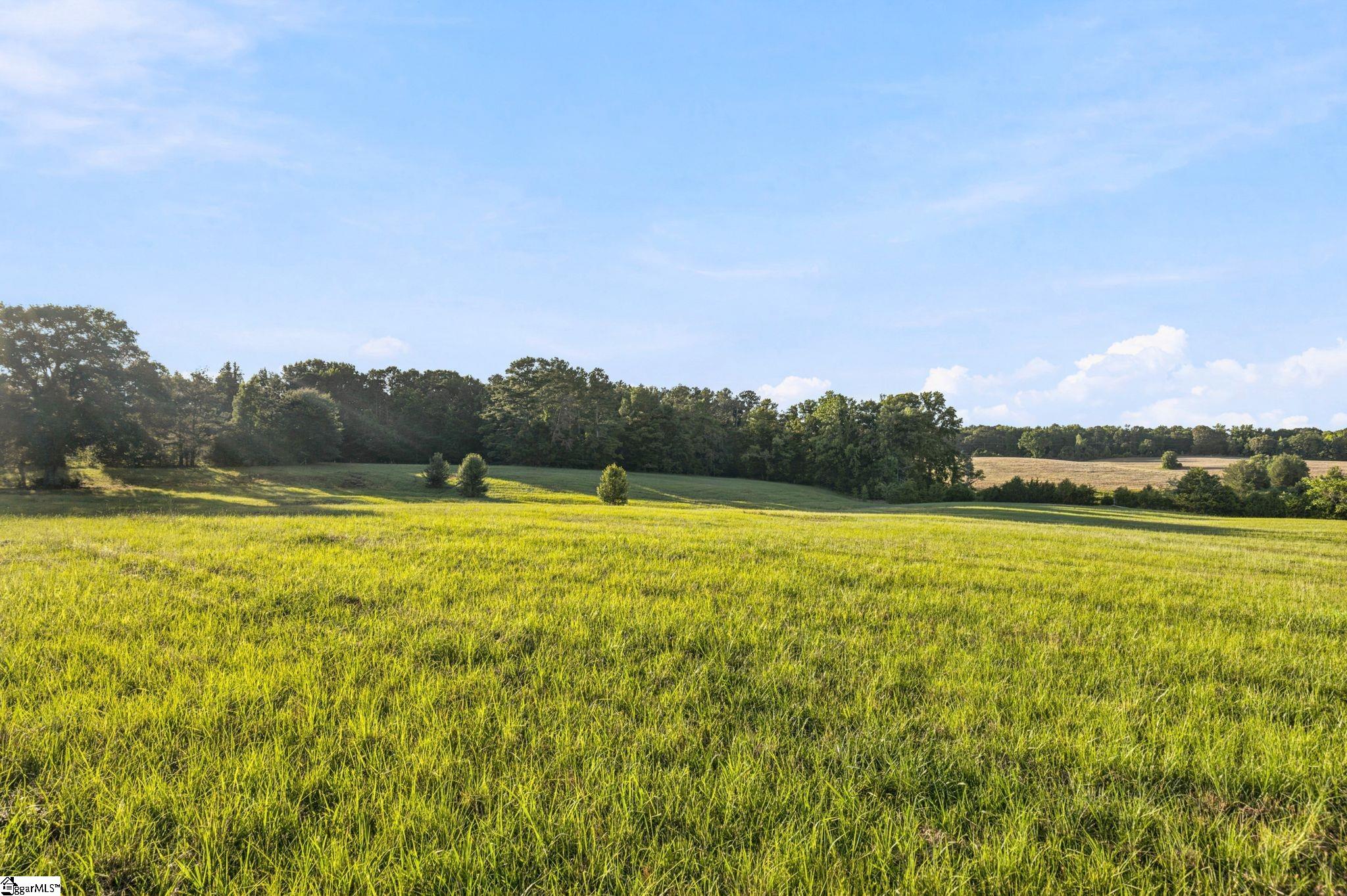 00 Indian Mound Road Ware Shoals, SC 29692