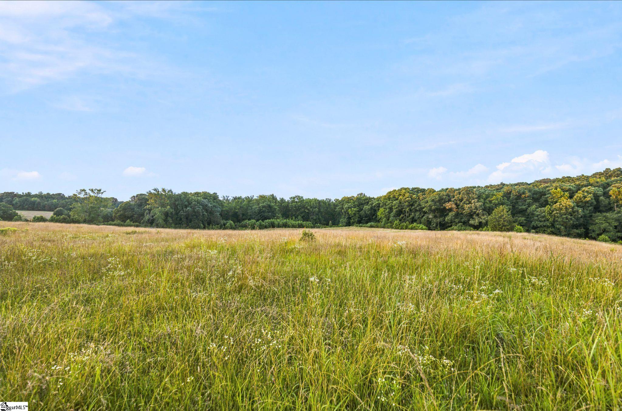 00 Indian Mound Road Ware Shoals, SC 29692