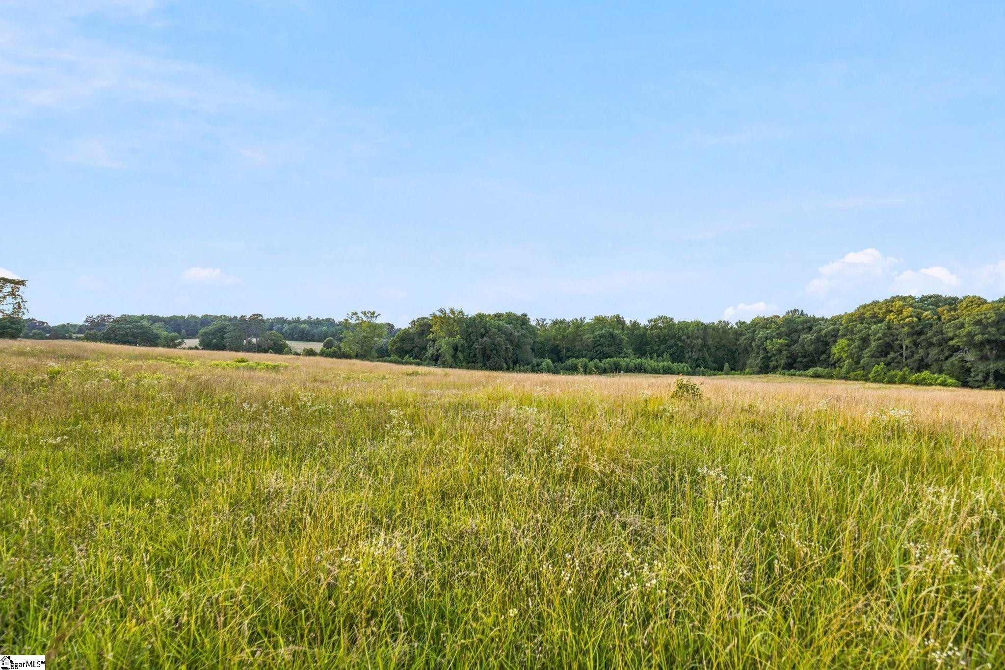 00 Indian Mound Road Ware Shoals, SC 29692