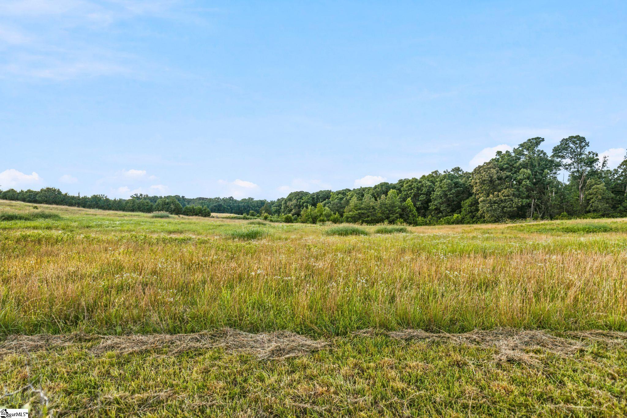 00 Indian Mound Road Ware Shoals, SC 29692