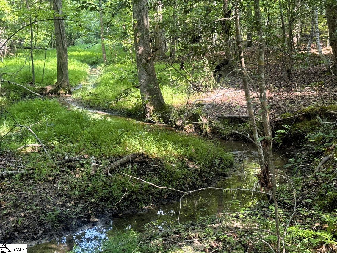 54 Lakeview Road Fountain Inn, SC 29644