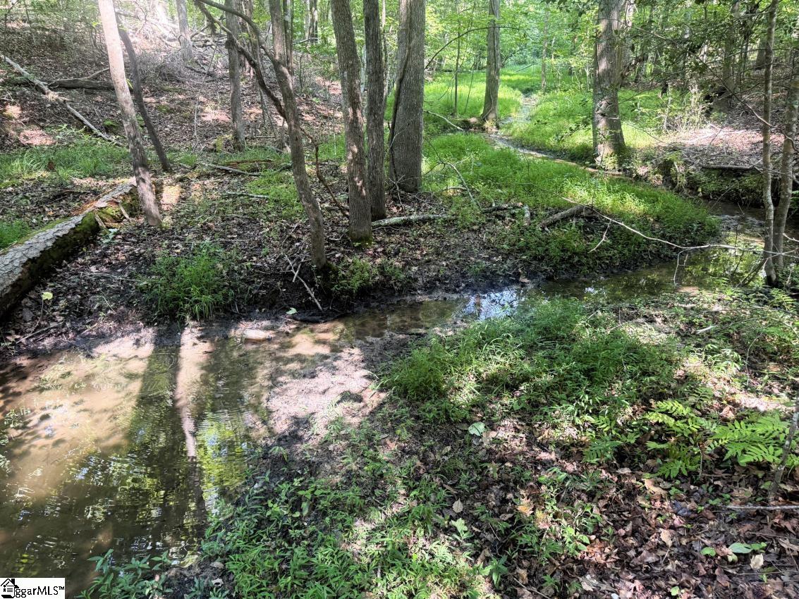 54 Lakeview Road Fountain Inn, SC 29644