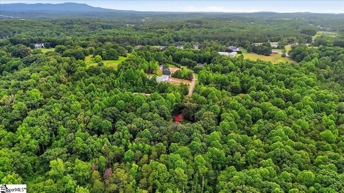 540 Stewart Hill Court Taylors, SC 29687