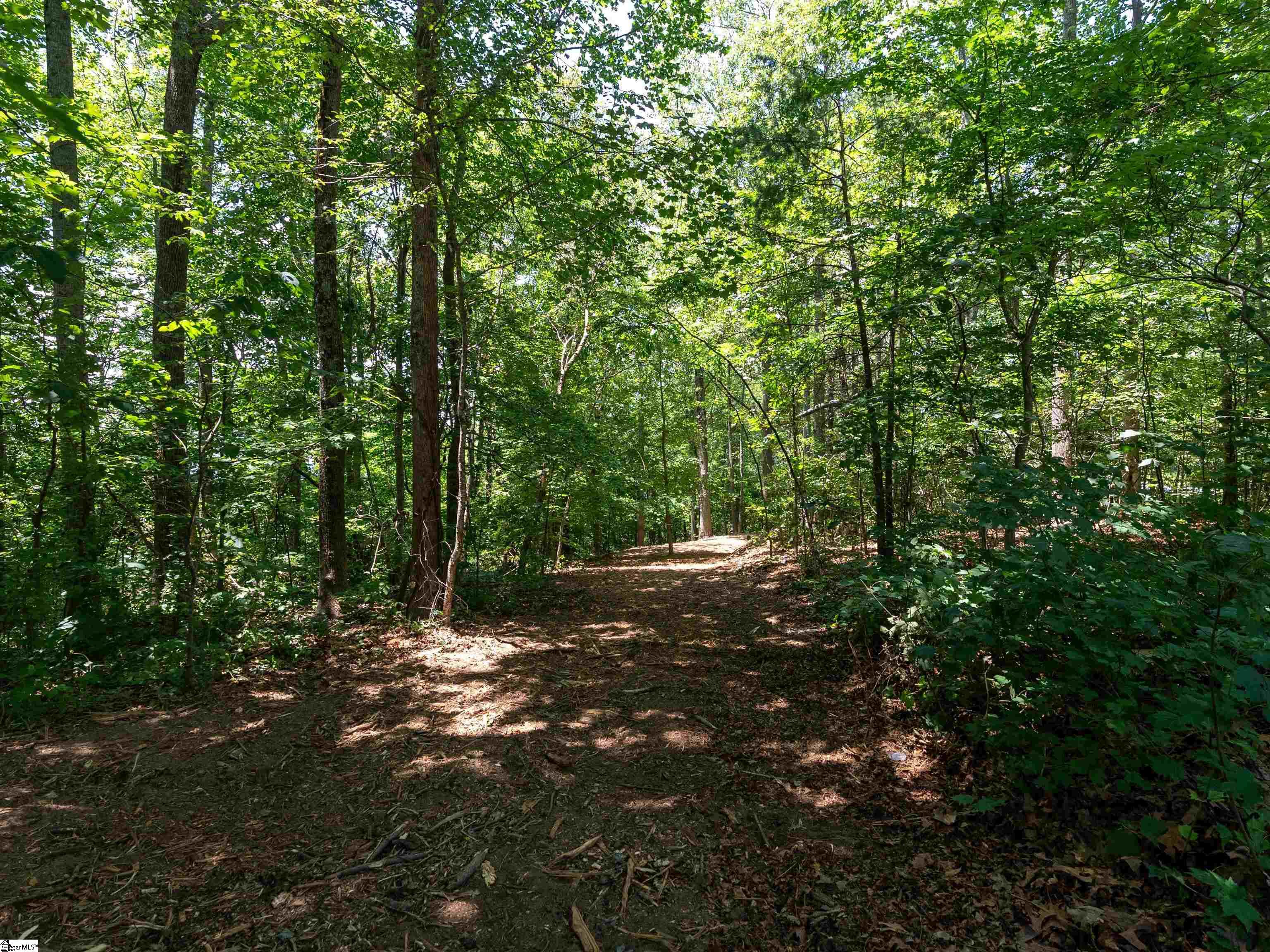 Lot 22 Plumley Summit Rd Road Landrum, SC 29356