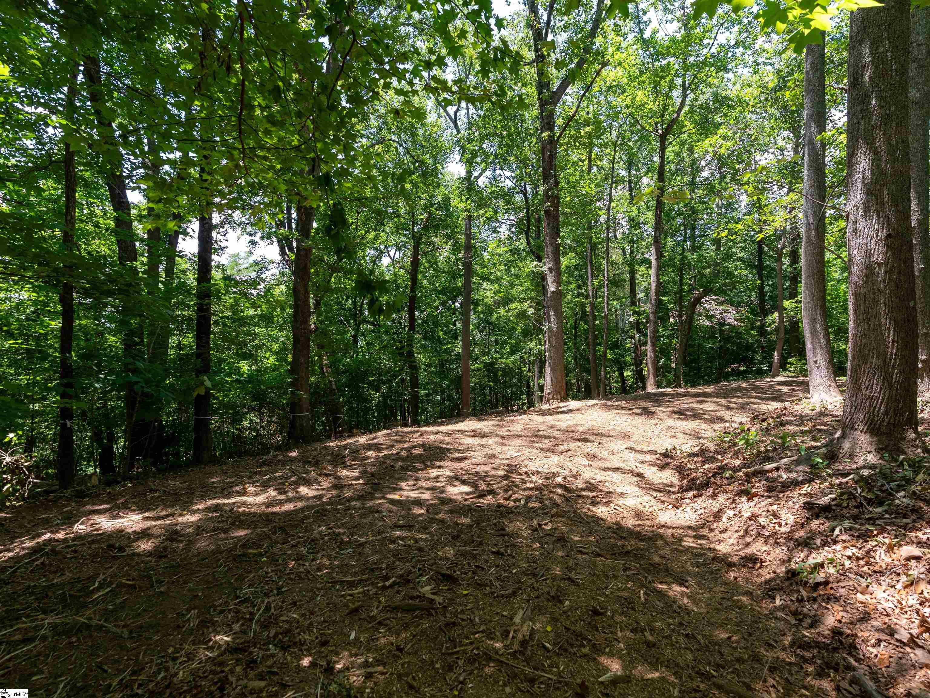Lot 22 Plumley Summit Rd Road Landrum, SC 29356