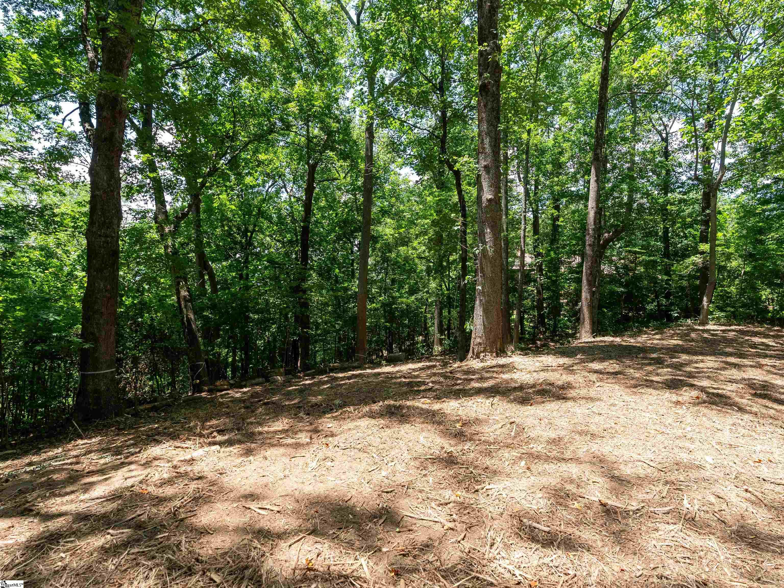 Lot 22 Plumley Summit Rd Road Landrum, SC 29356
