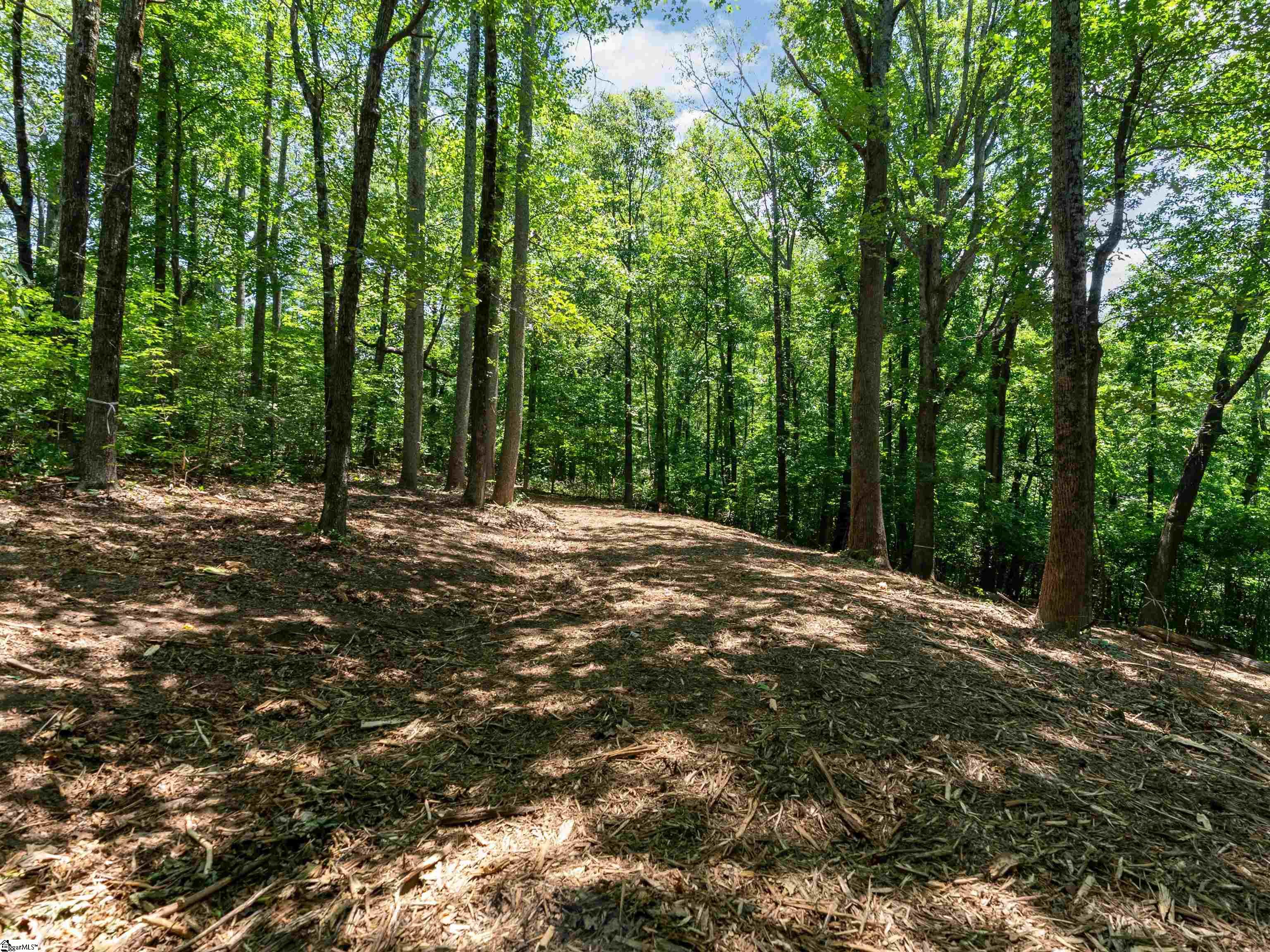 Lot 22 Plumley Summit Rd Road Landrum, SC 29356