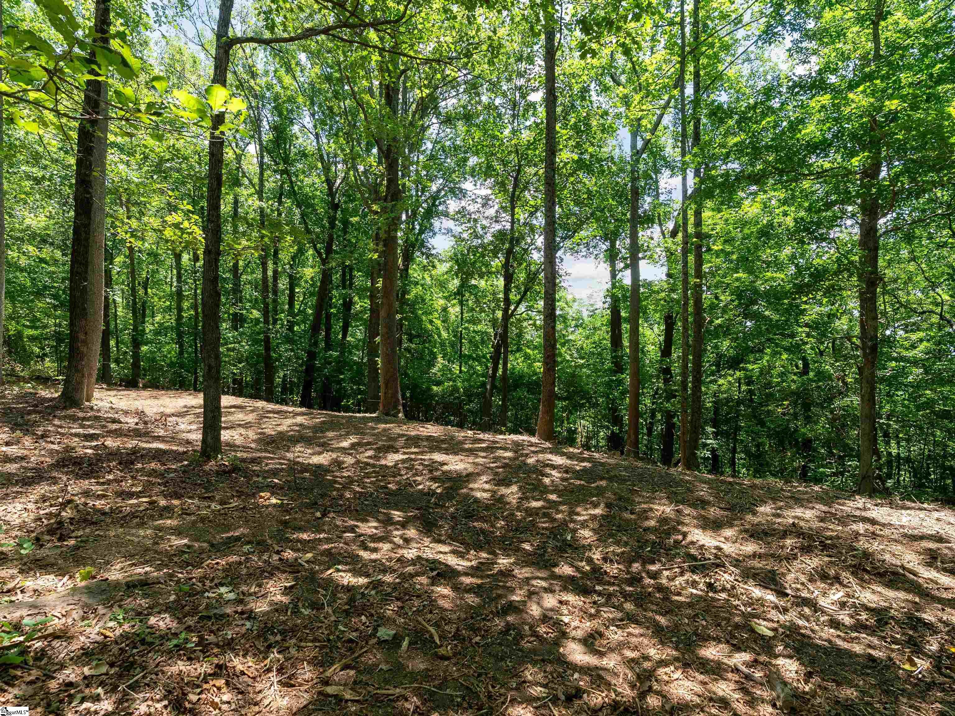 Lot 22 Plumley Summit Rd Road Landrum, SC 29356