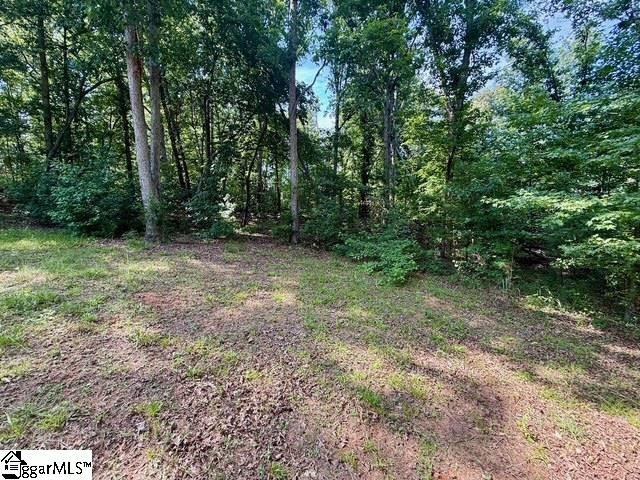 680 Peanut Road Woodruff, SC 29388-8338