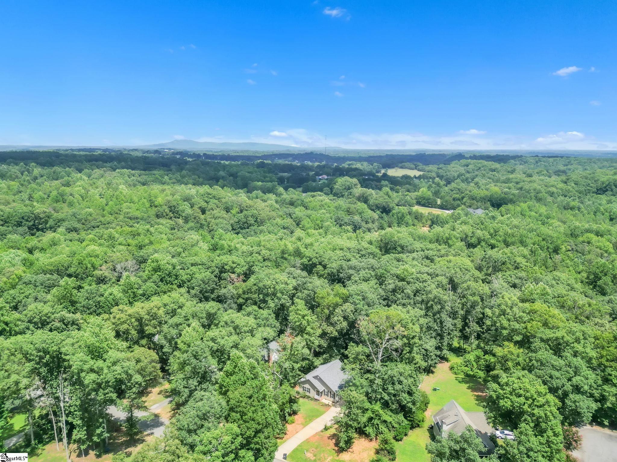 402 Hamilton Forest Drive Easley, SC 29640