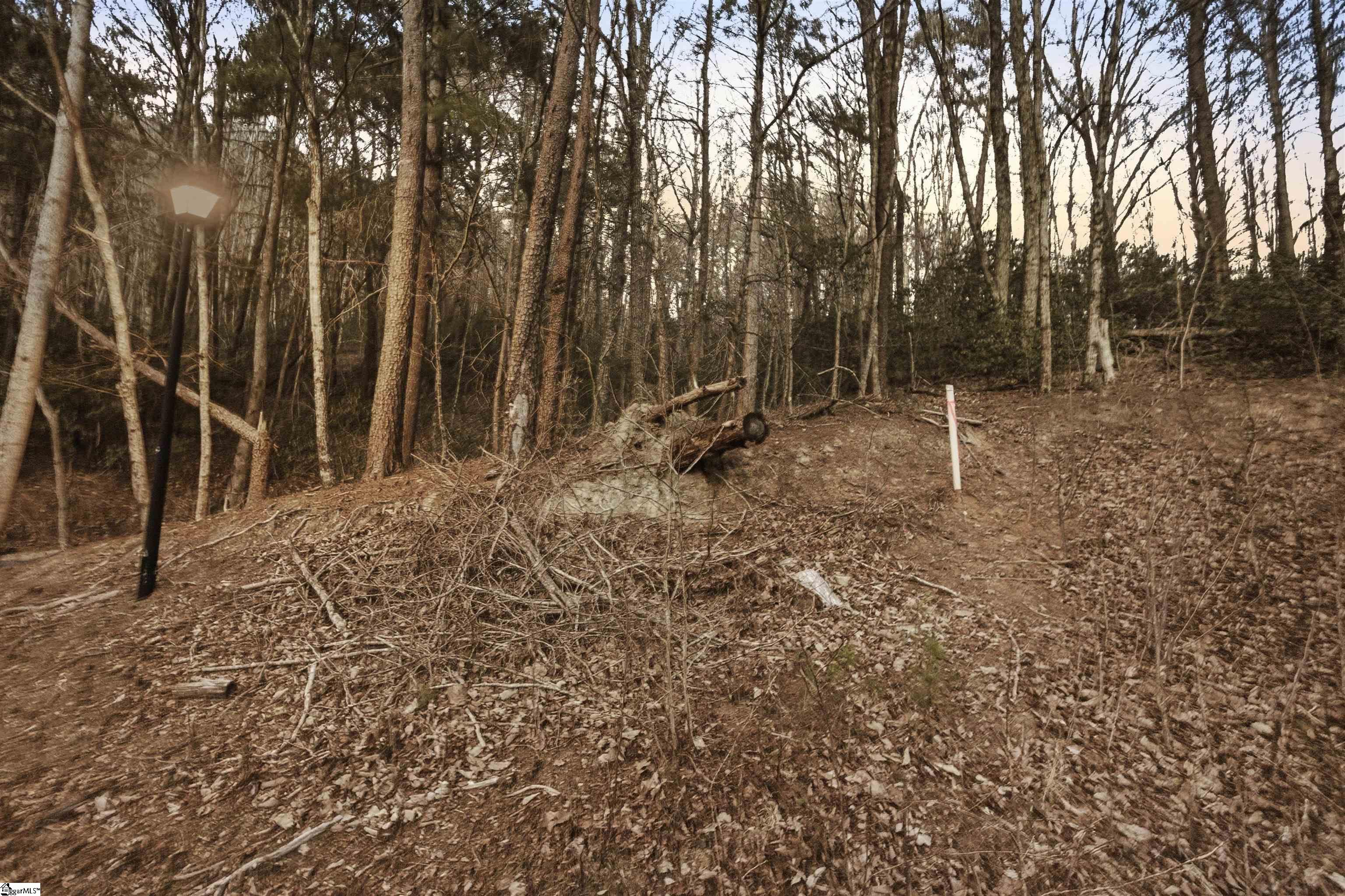 Hidden Glory Drive UNIT LOT 17 Landrum, SC 29356