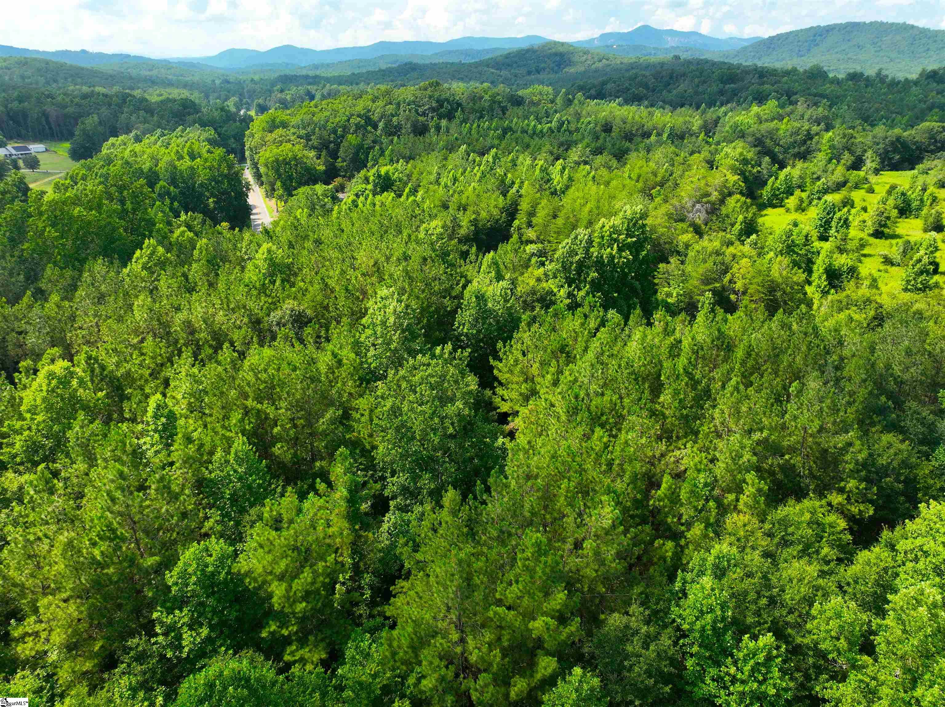 3573 Moorefield Memorial Highway Pickens, SC 29671