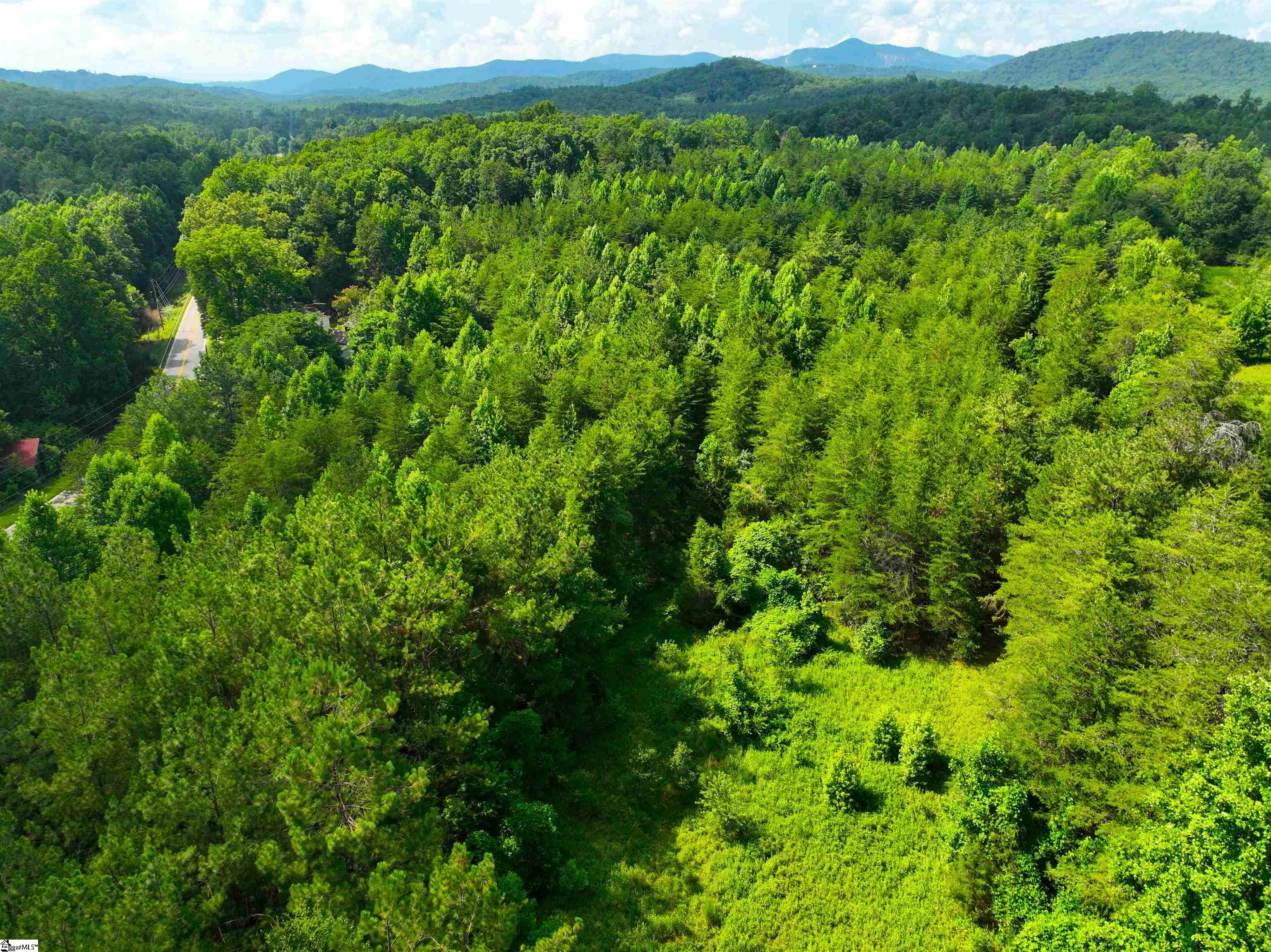 3573 Moorefield Memorial Highway Pickens, SC 29671