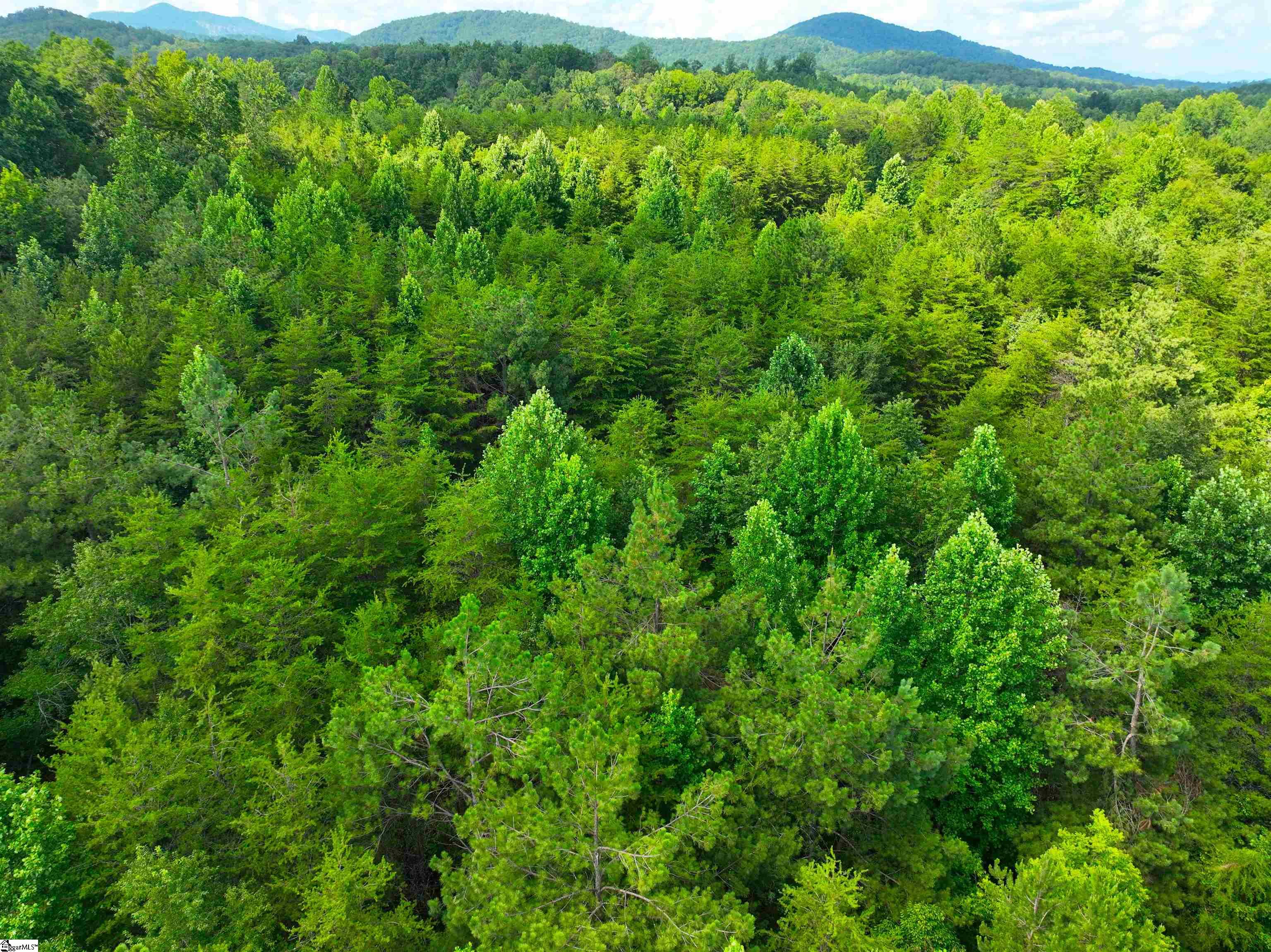 3573 Moorefield Memorial Highway Pickens, SC 29671