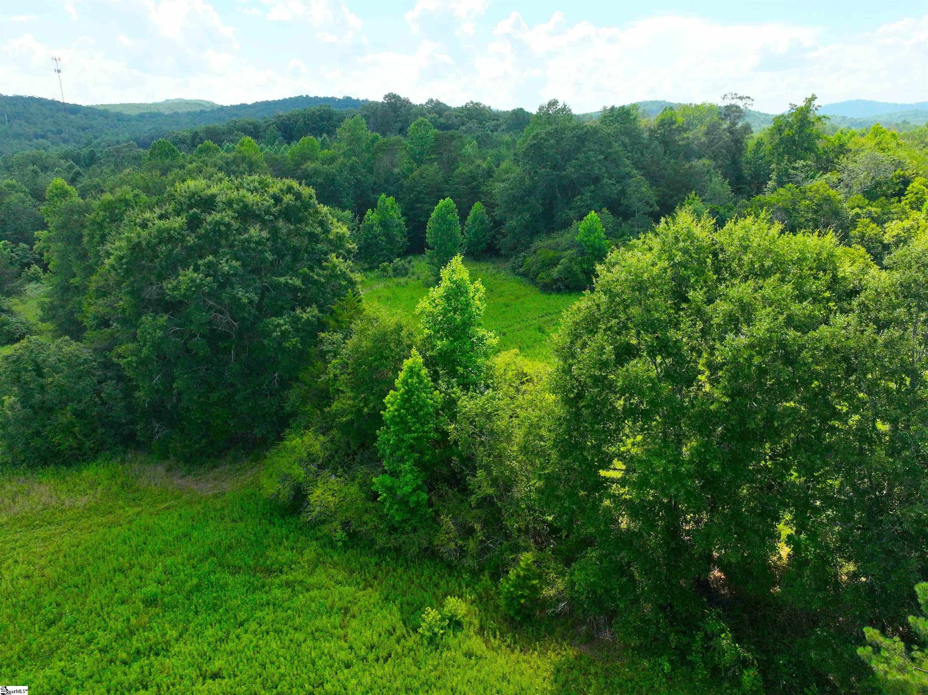 3573 Moorefield Memorial Highway Pickens, SC 29671