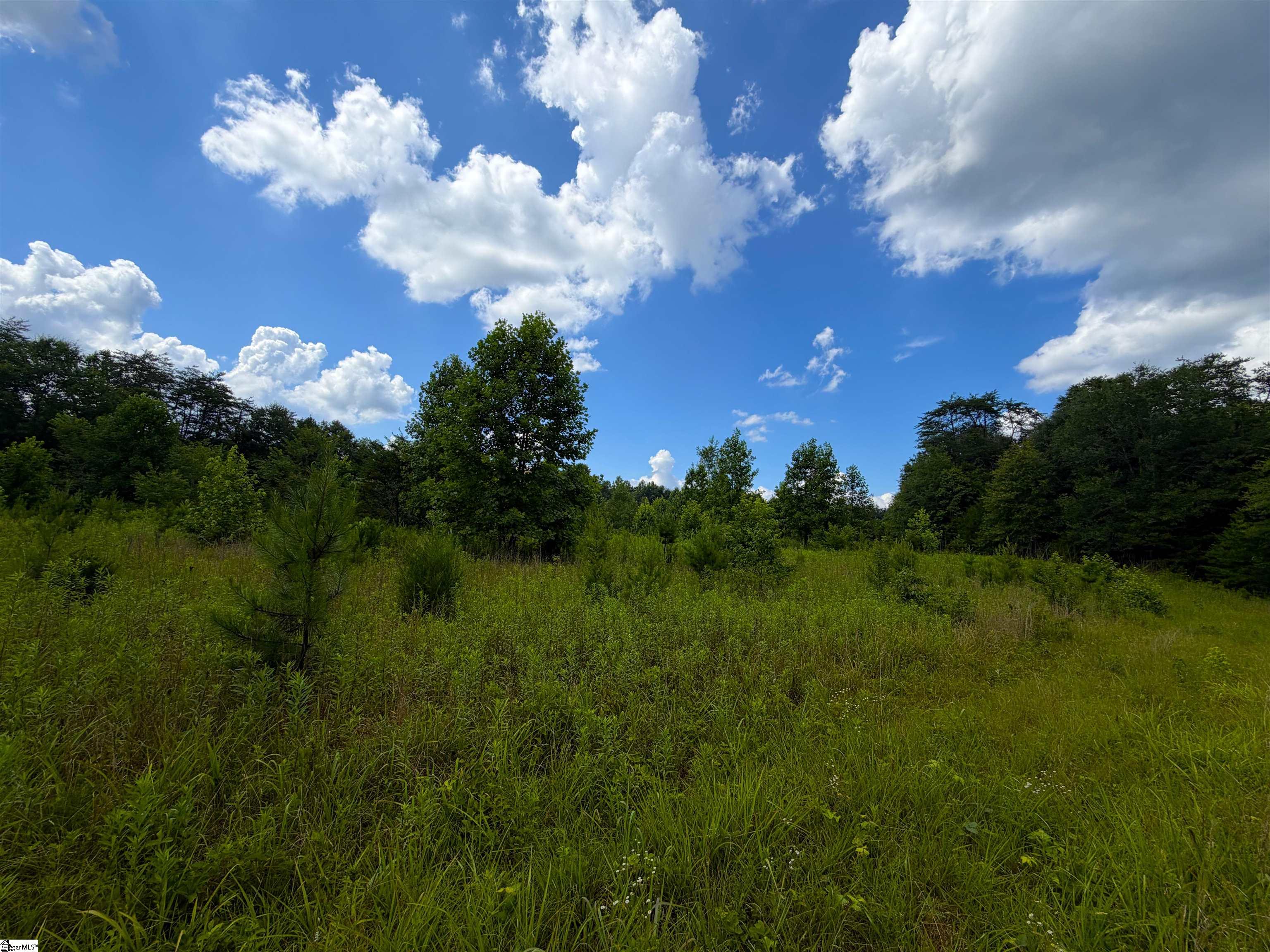 3573 Moorefield Memorial Highway Pickens, SC 29671