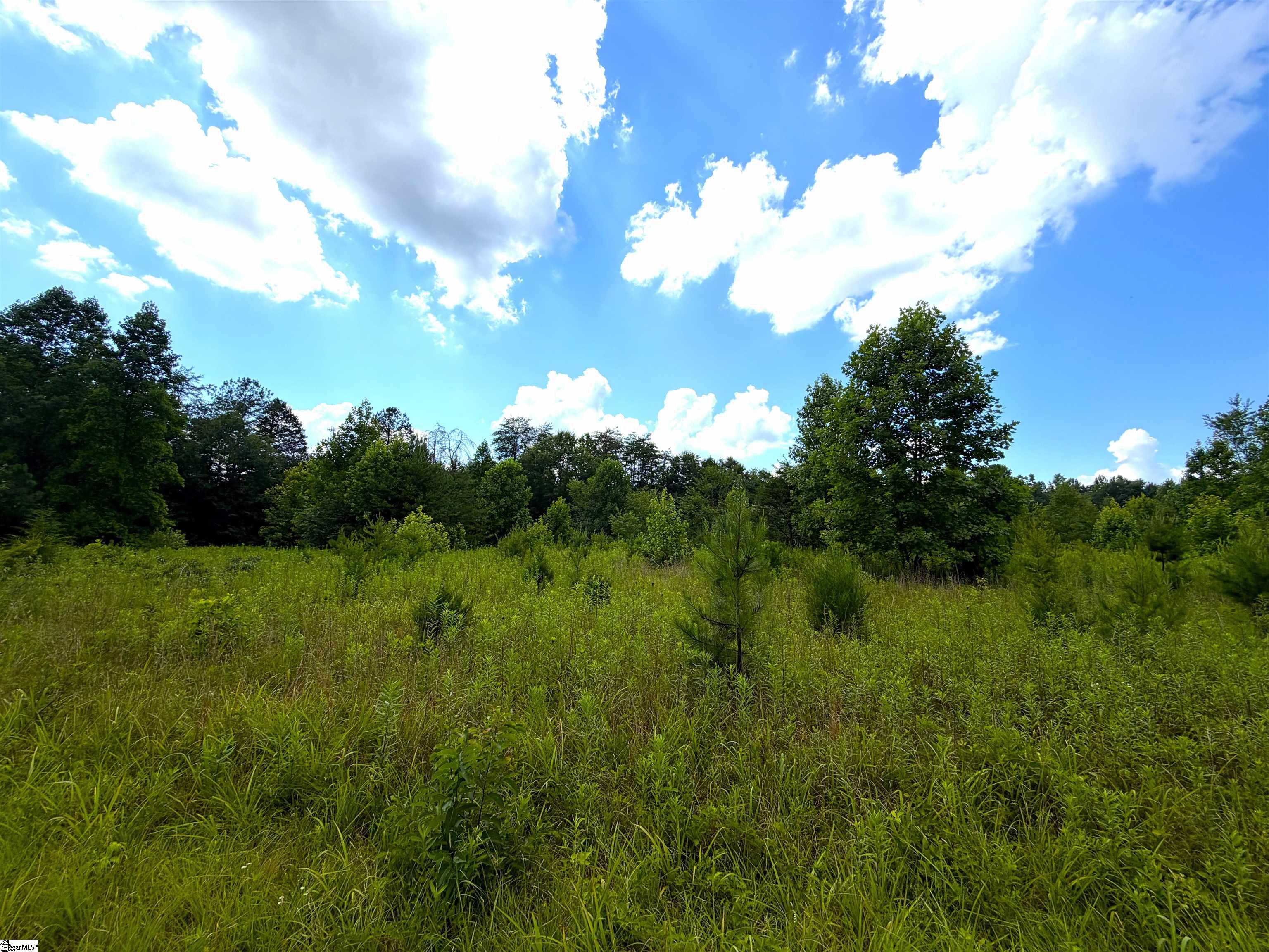 3573 Moorefield Memorial Highway Pickens, SC 29671