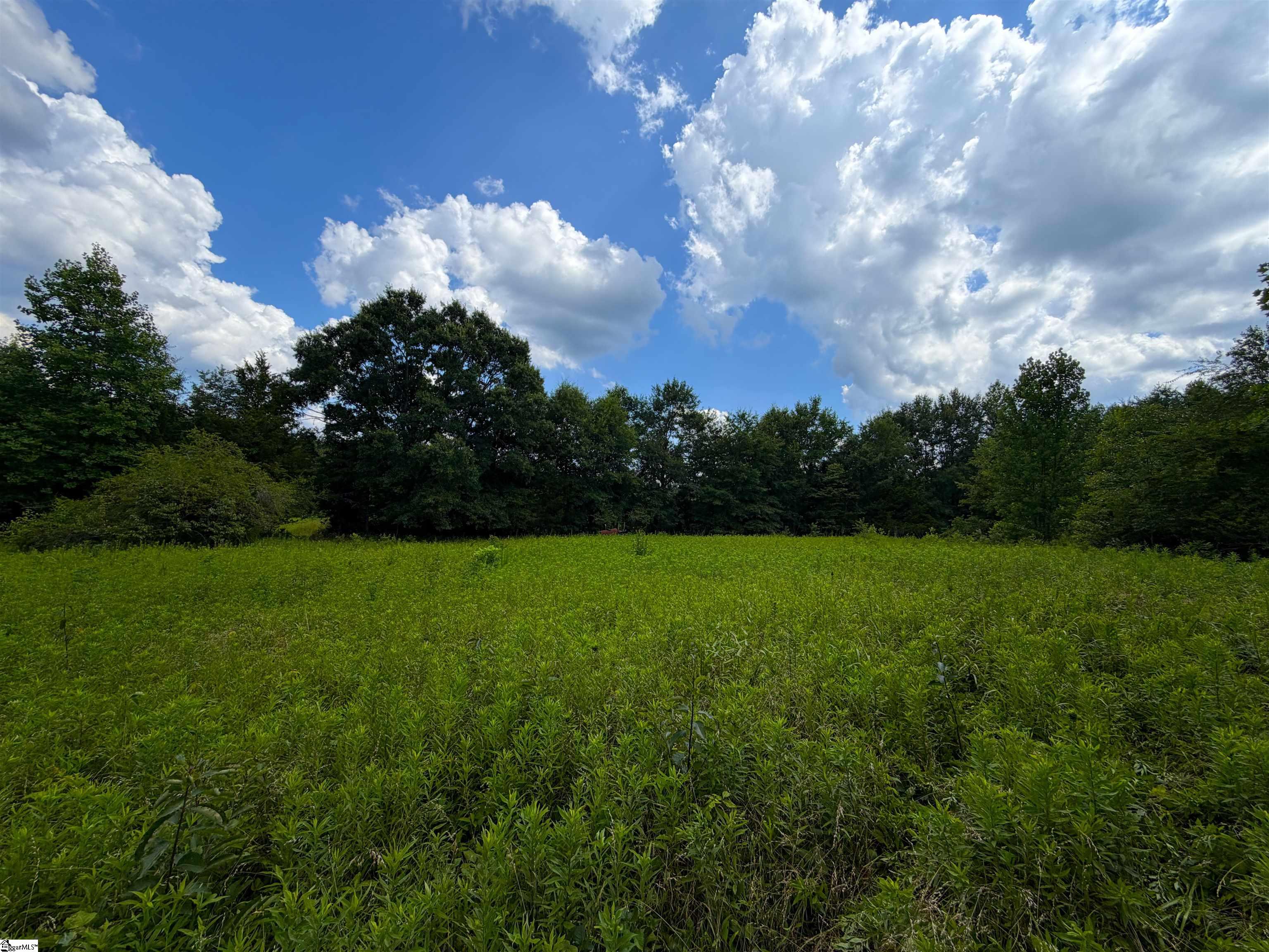 3573 Moorefield Memorial Highway Pickens, SC 29671